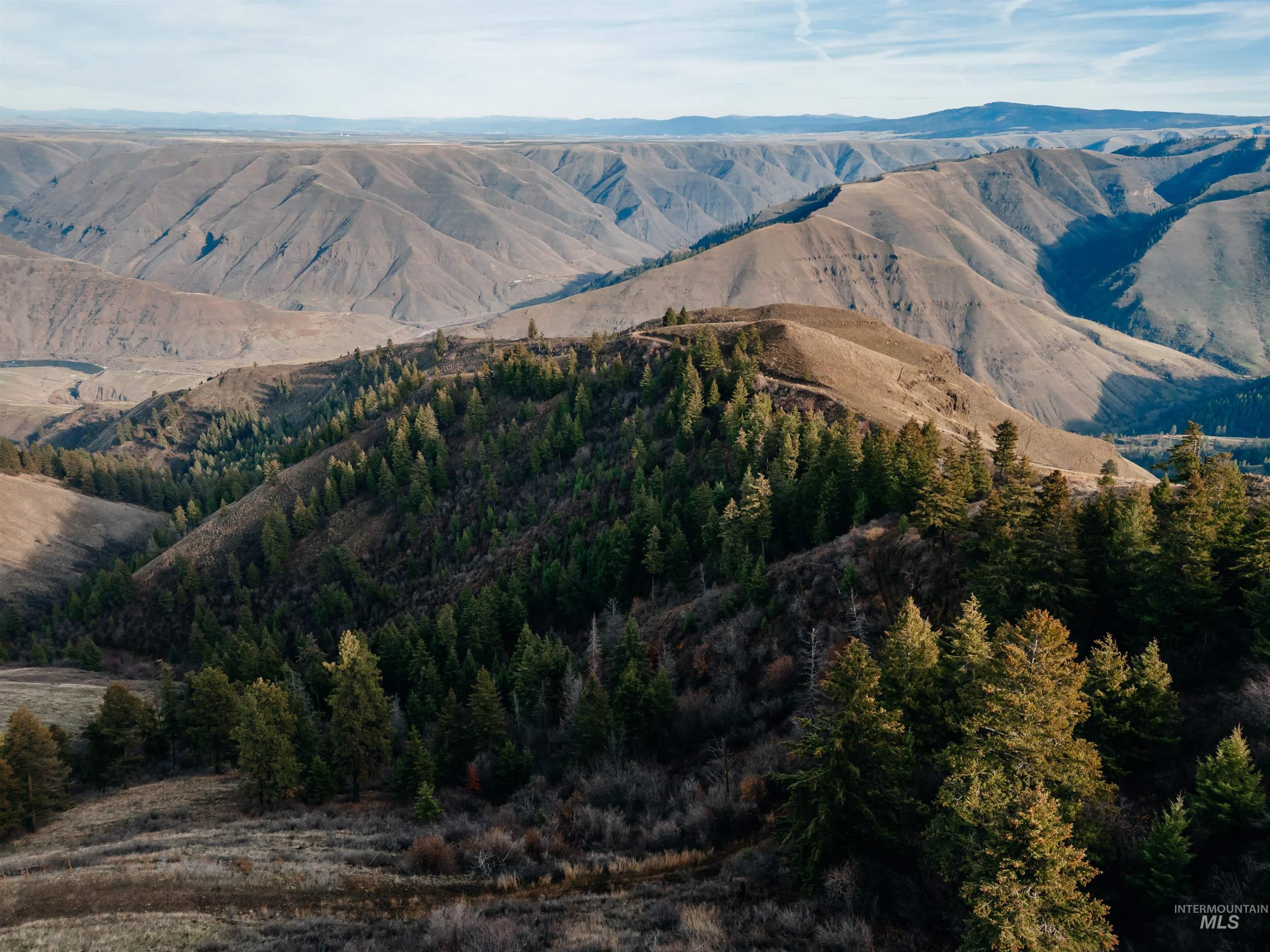 TBD Boles Road, CottonWood, Idaho 83522, Land For Sale, Price $1,500,000, 98969065
