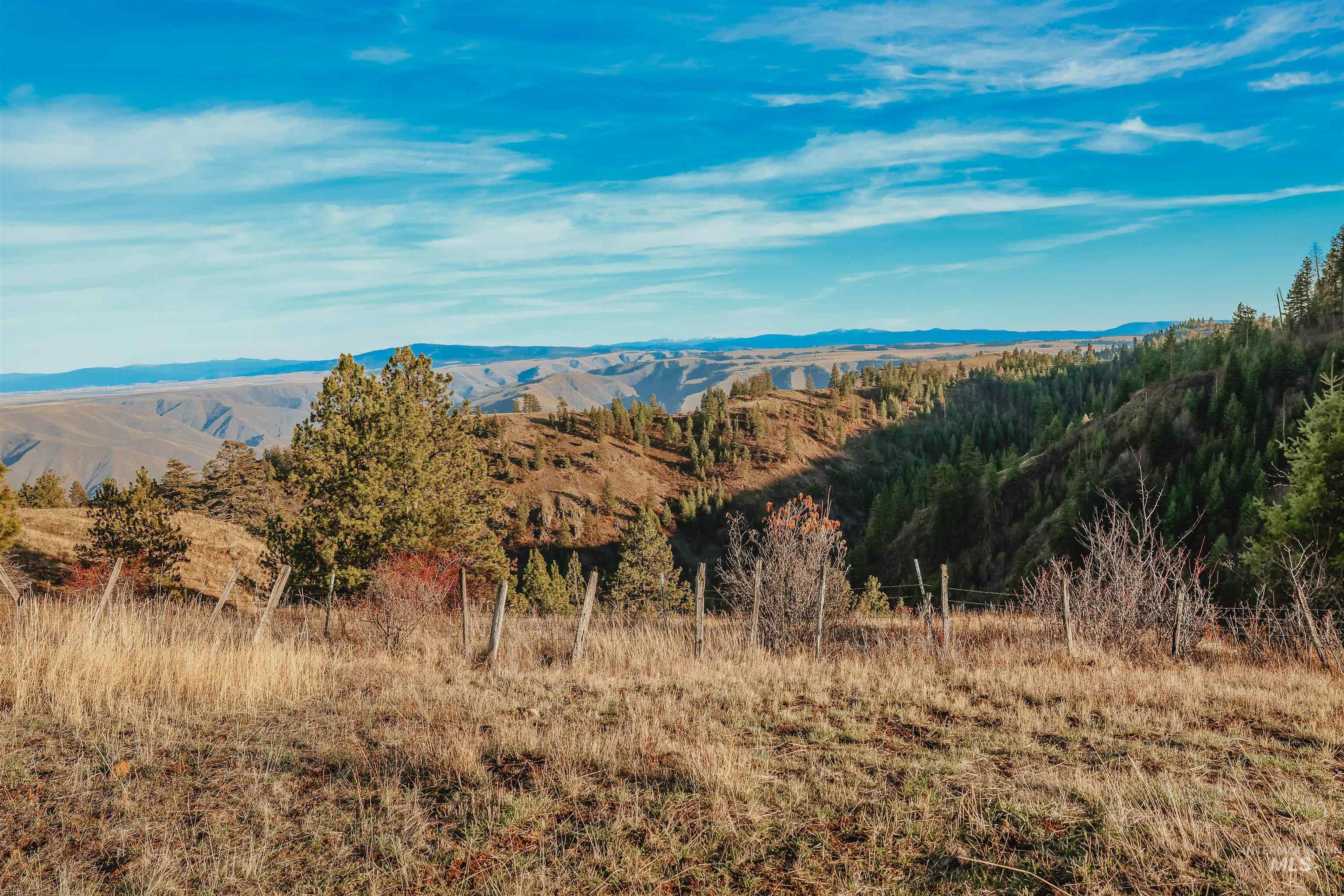 TBD Boles Road, CottonWood, Idaho 83522, Land For Sale, Price $1,500,000,MLS 98969065