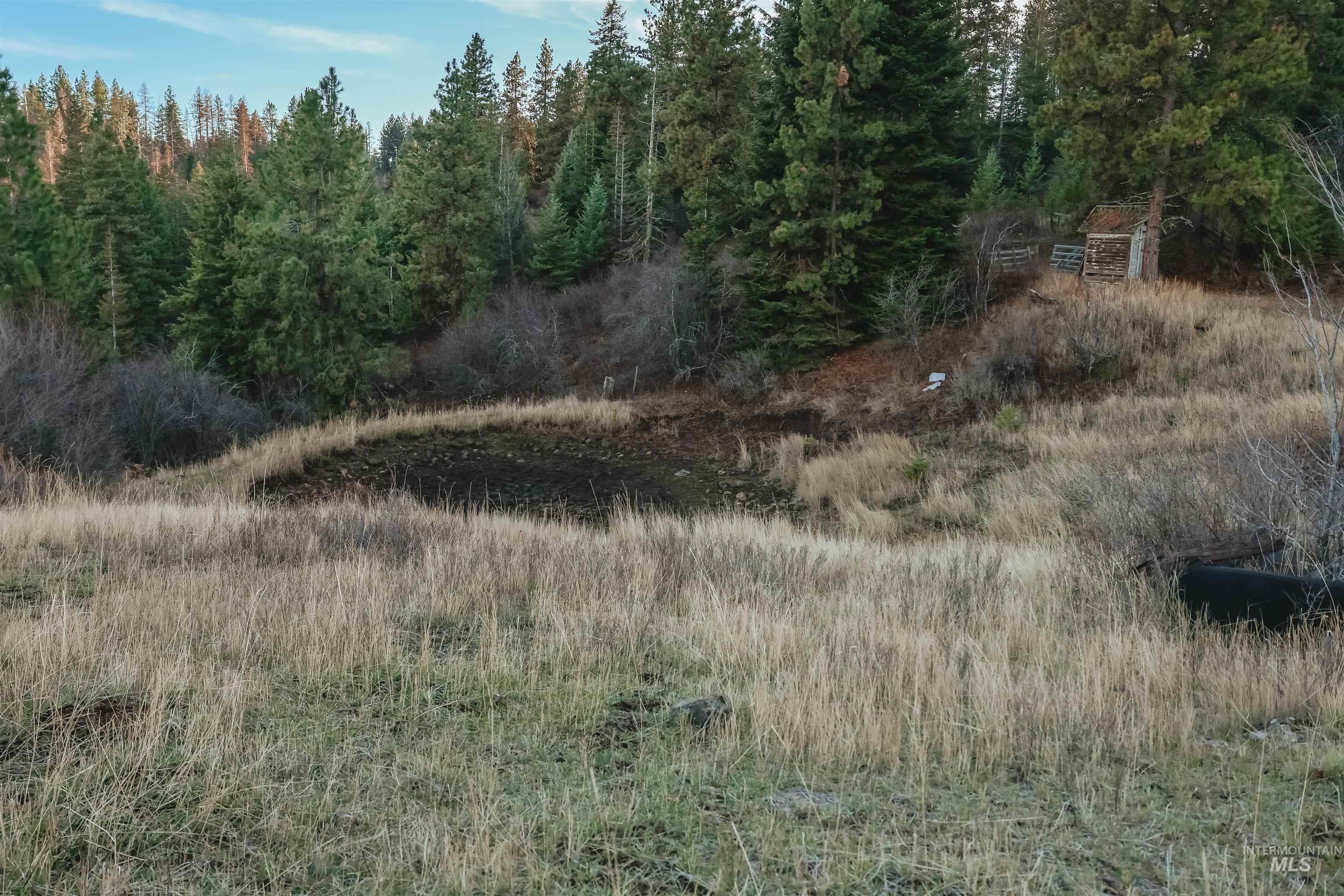 TBD Boles Road, CottonWood, Idaho 83522, Land For Sale, Price $1,500,000,MLS 98969065