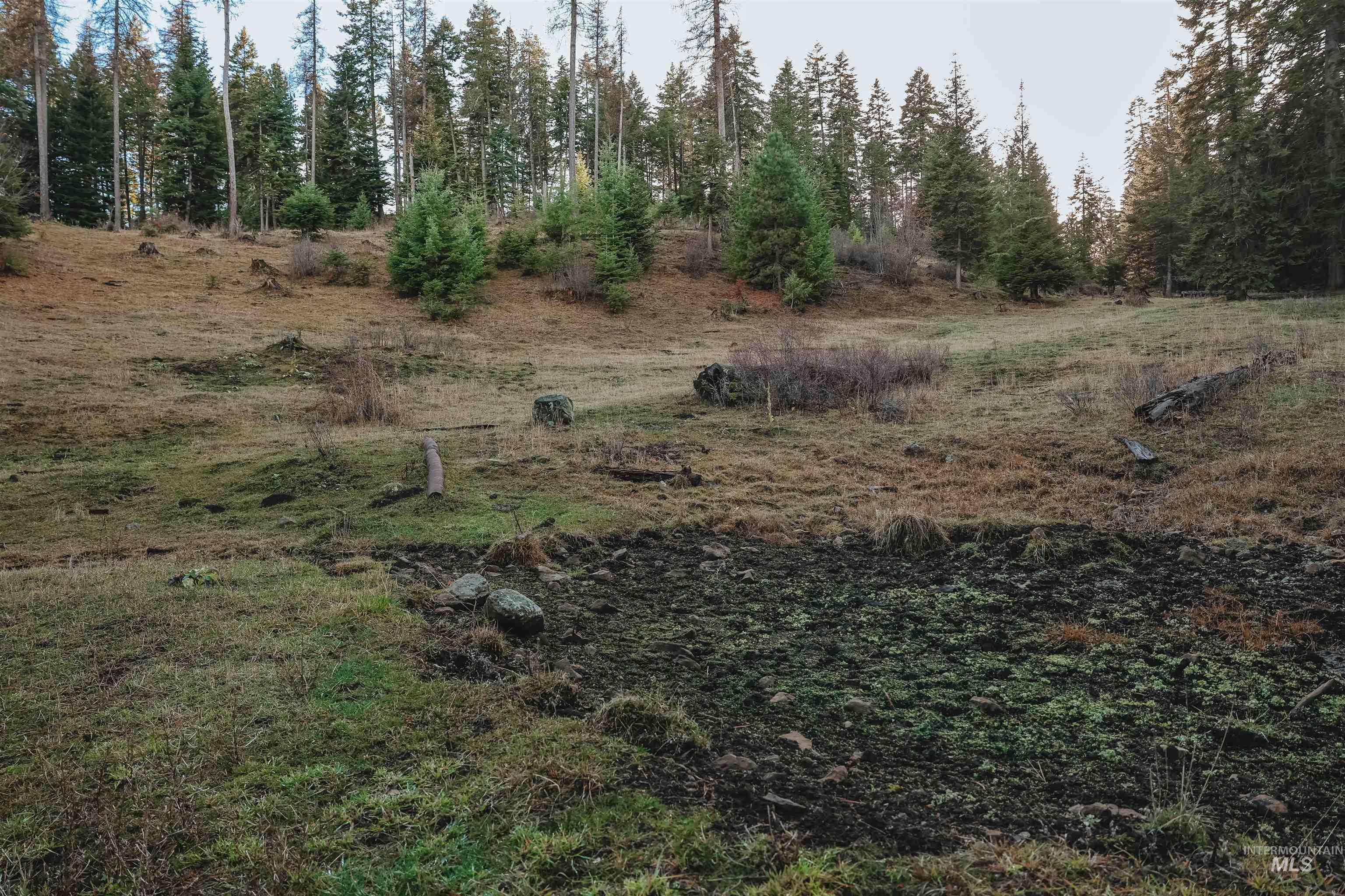 TBD Boles Road, CottonWood, Idaho 83522, Land For Sale, Price $1,500,000,MLS 98969065