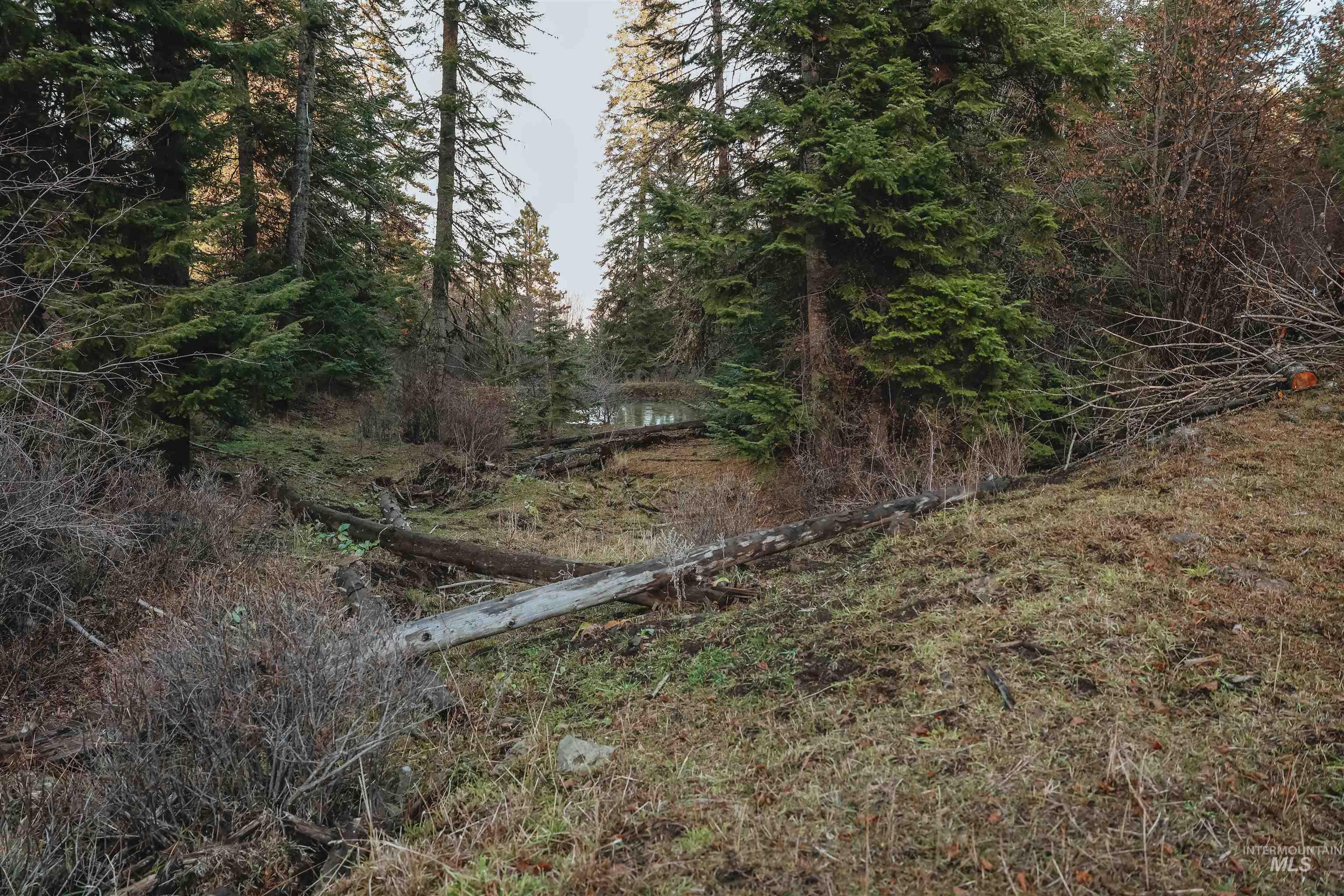 TBD Boles Road, CottonWood, Idaho 83522, Land For Sale, Price $1,500,000,MLS 98969065