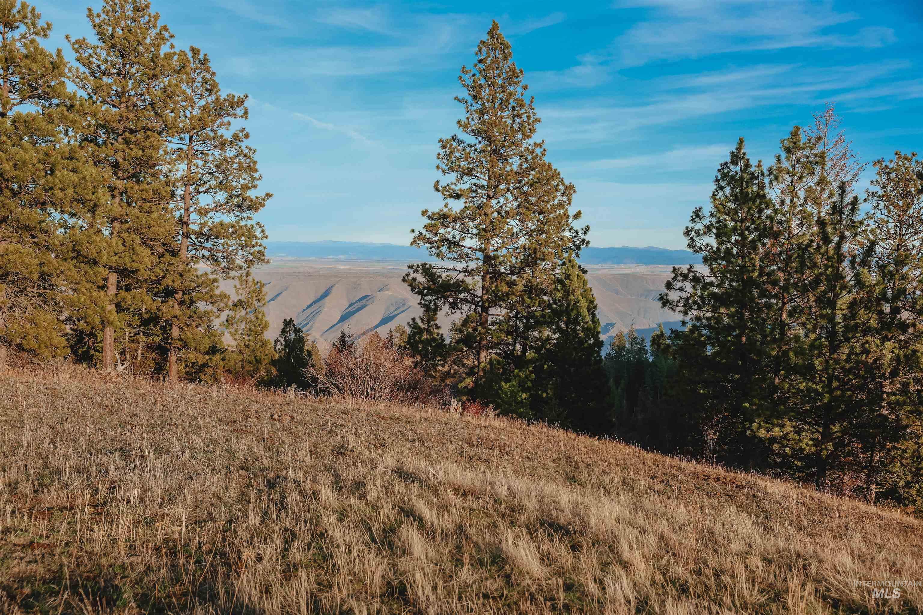 TBD Boles Road, CottonWood, Idaho 83522, Land For Sale, Price $1,500,000,MLS 98969065