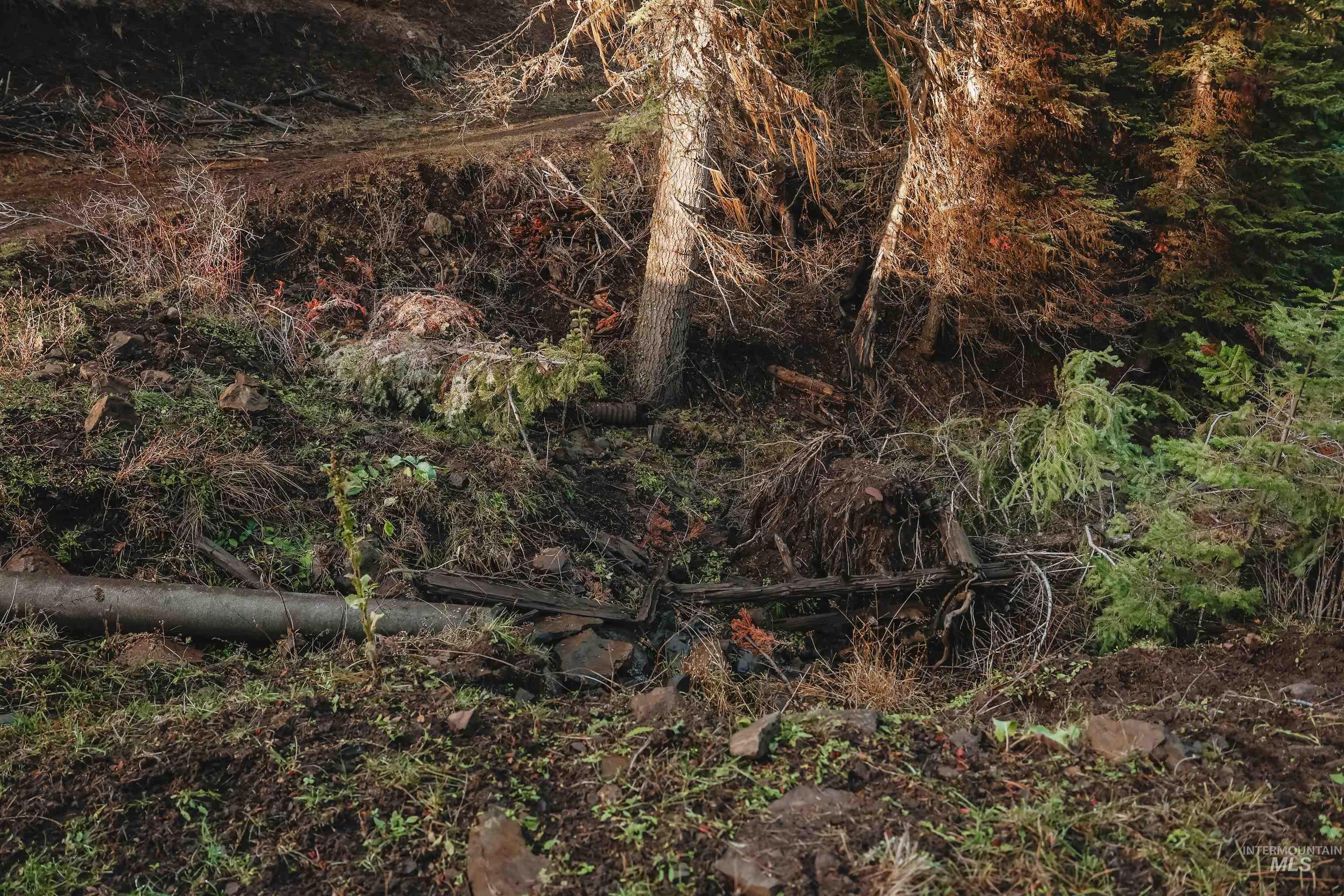 TBD Boles Road, CottonWood, Idaho 83522, Land For Sale, Price $1,500,000,MLS 98969065