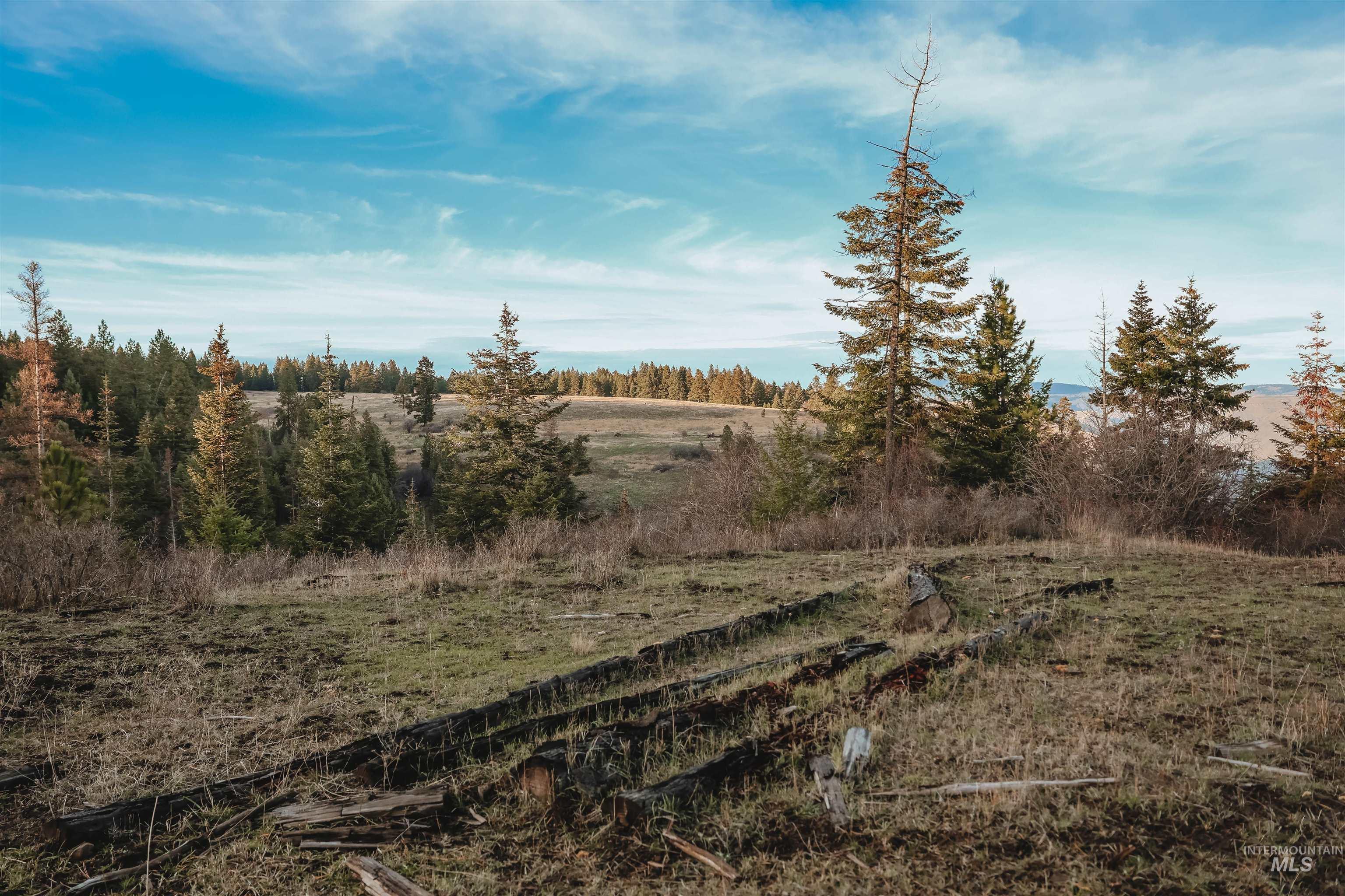 TBD Boles Road, CottonWood, Idaho 83522, Land For Sale, Price $1,500,000,MLS 98969065