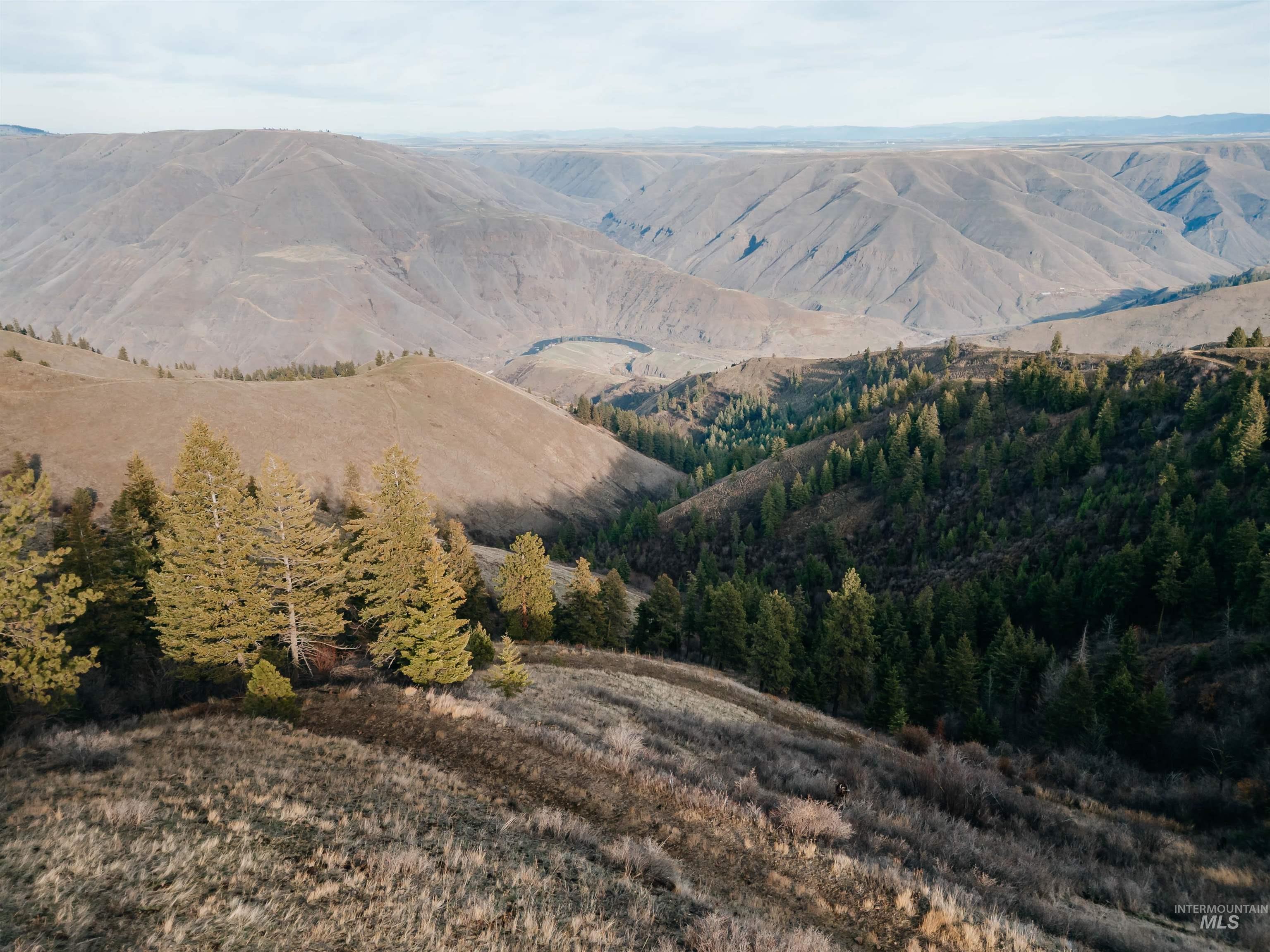 TBD Boles Road, CottonWood, Idaho 83522, Land For Sale, Price $1,500,000, 98969065