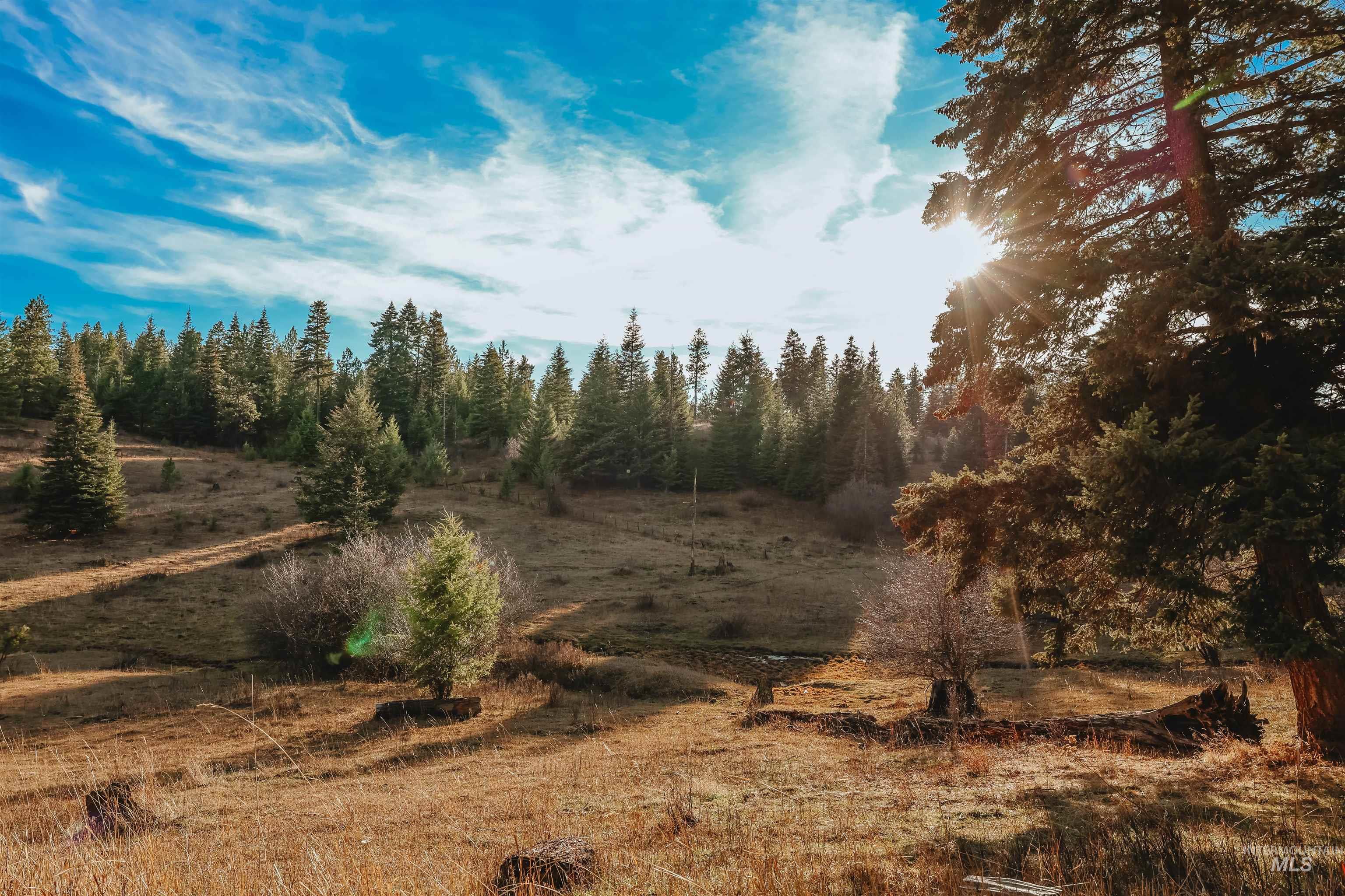 TBD Boles Road, CottonWood, Idaho 83522, Land For Sale, Price $1,500,000, 98969065