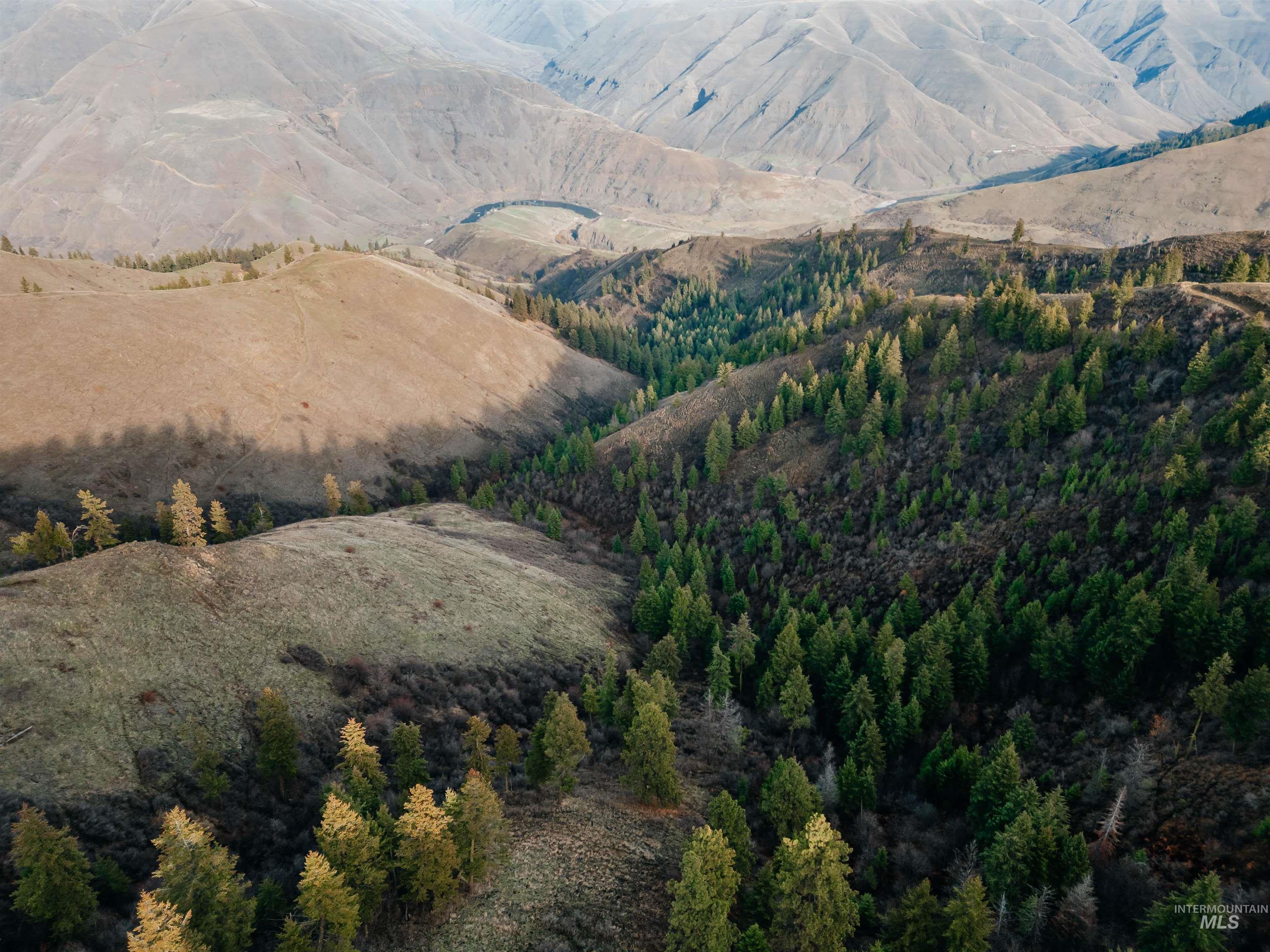 TBD Boles Road, CottonWood, Idaho 83522, Land For Sale, Price $1,500,000, 98969065