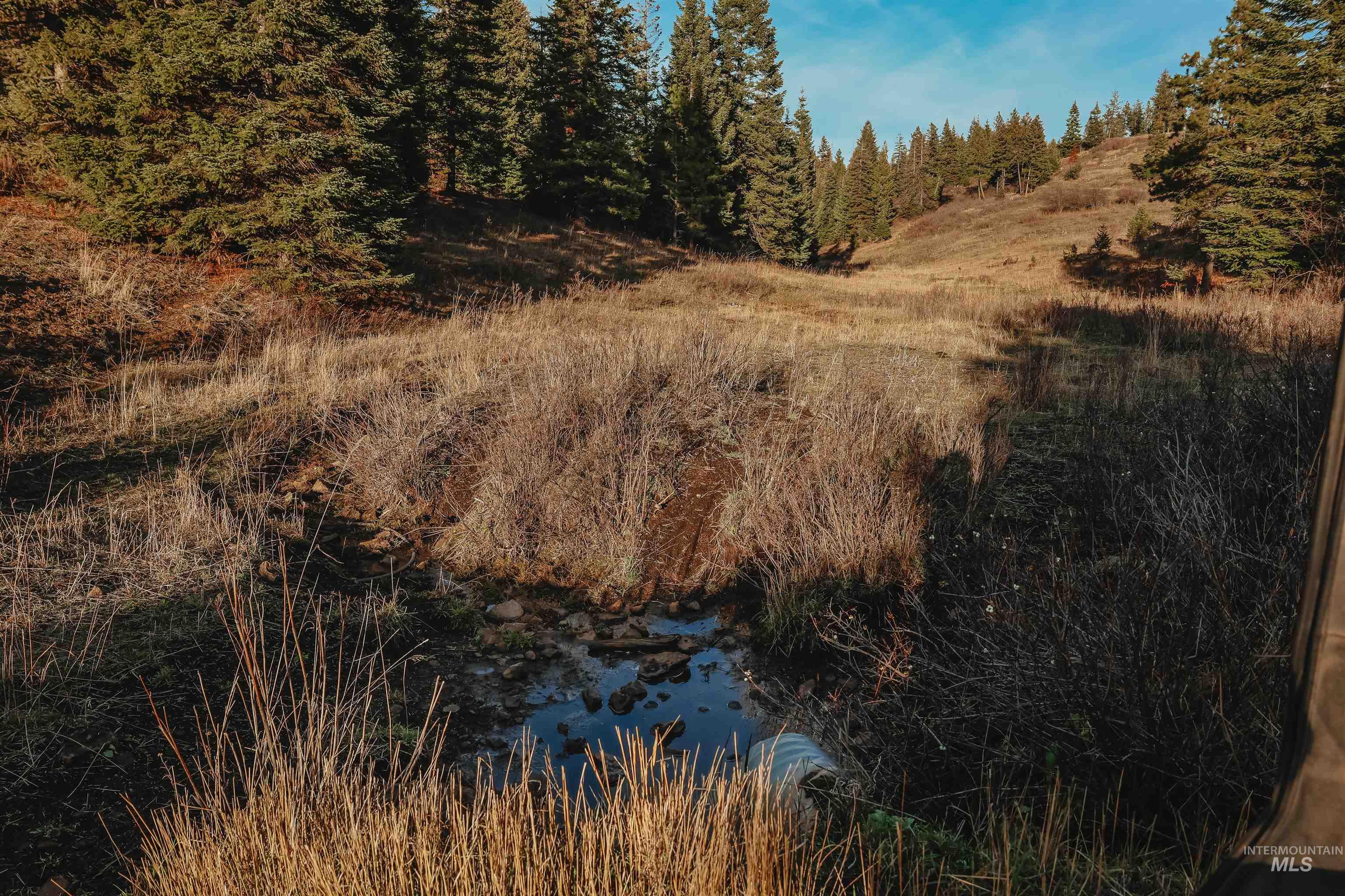 TBD Boles Road, CottonWood, Idaho 83522, Land For Sale, Price $1,500,000, 98969065