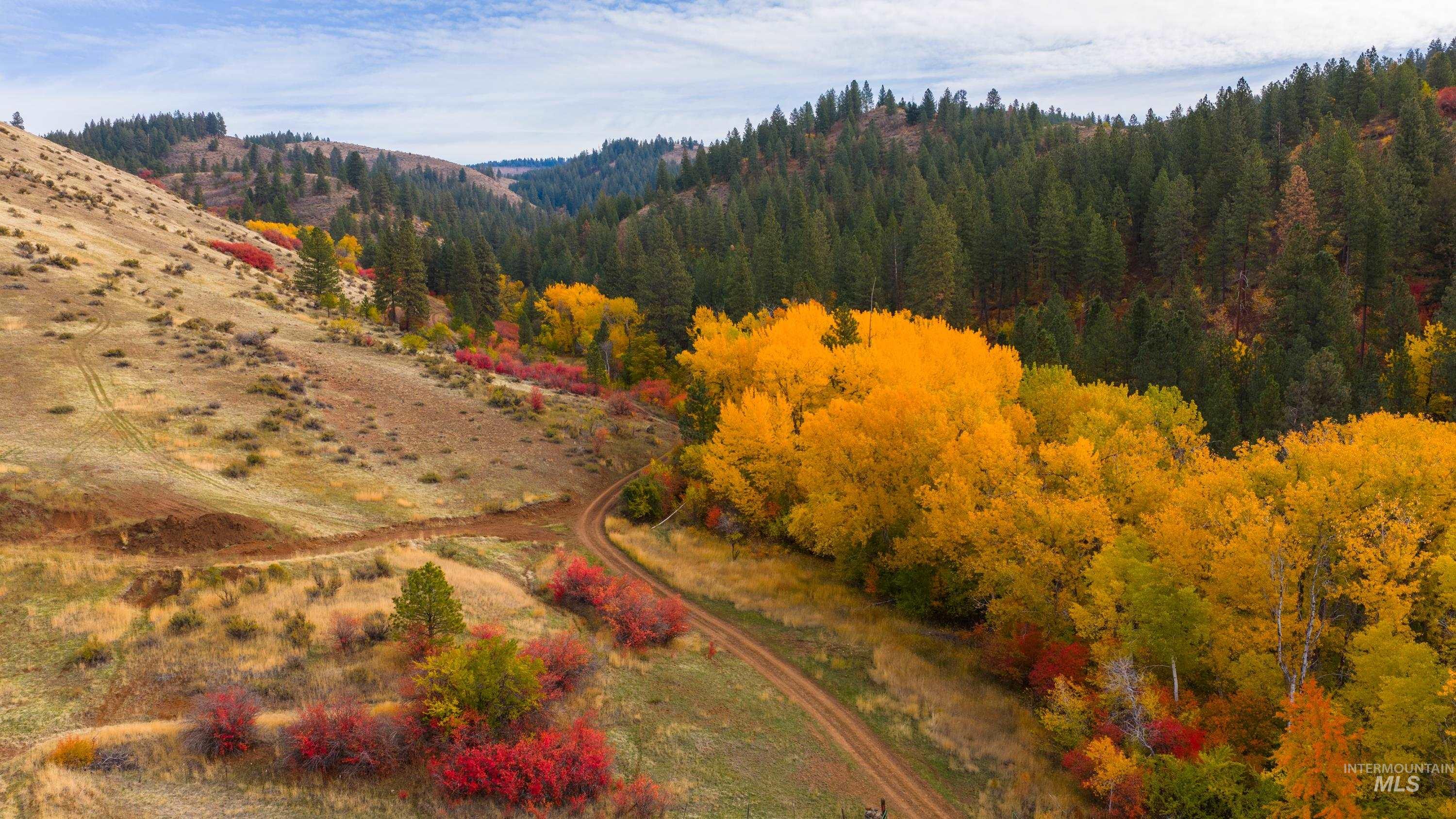 TBD TBD Entire Ranch, Council, Idaho 83612, 4 Bedrooms, 3.5 Bathrooms, Farm & Ranch For Sale, Price $8,600,000, 98969086
