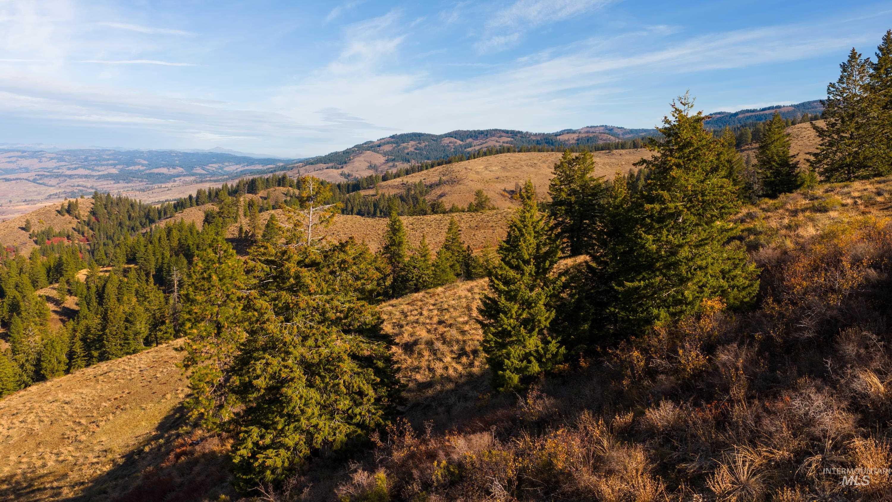 TBD TBD Entire Ranch, Council, Idaho 83612, 4 Bedrooms, 3.5 Bathrooms, Farm & Ranch For Sale, Price $8,600,000, 98969086