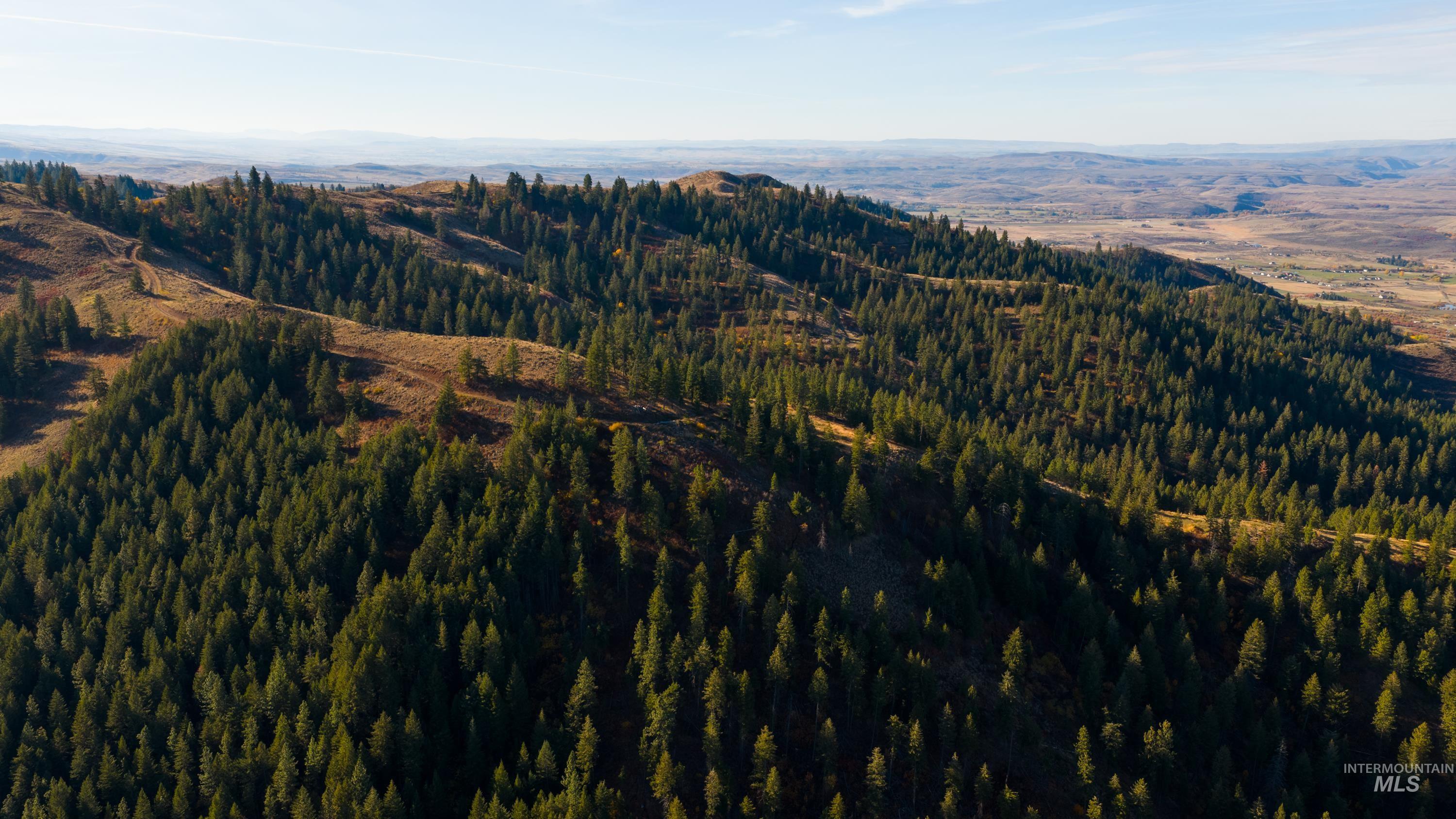 TBD TBD Entire Ranch, Council, Idaho 83612, 4 Bedrooms, 3.5 Bathrooms, Farm & Ranch For Sale, Price $8,600,000, 98969086