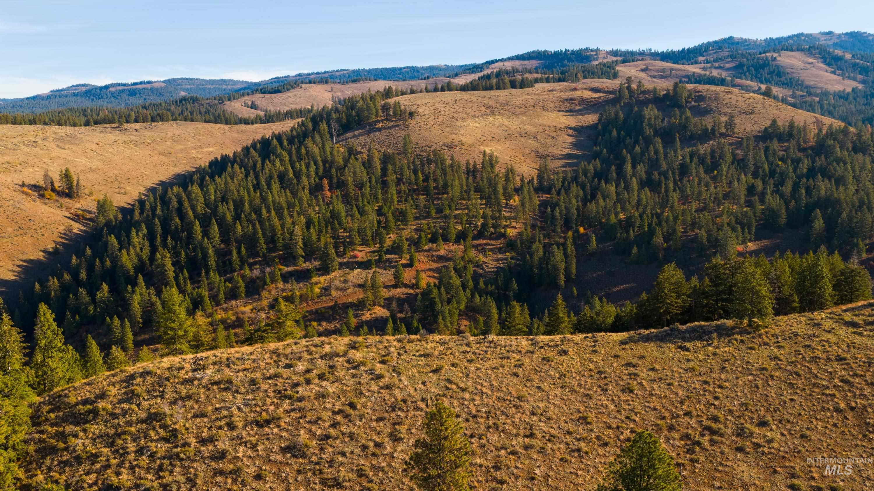 TBD TBD Entire Ranch, Council, Idaho 83612, 4 Bedrooms, 3.5 Bathrooms, Farm & Ranch For Sale, Price $8,600,000, 98969086