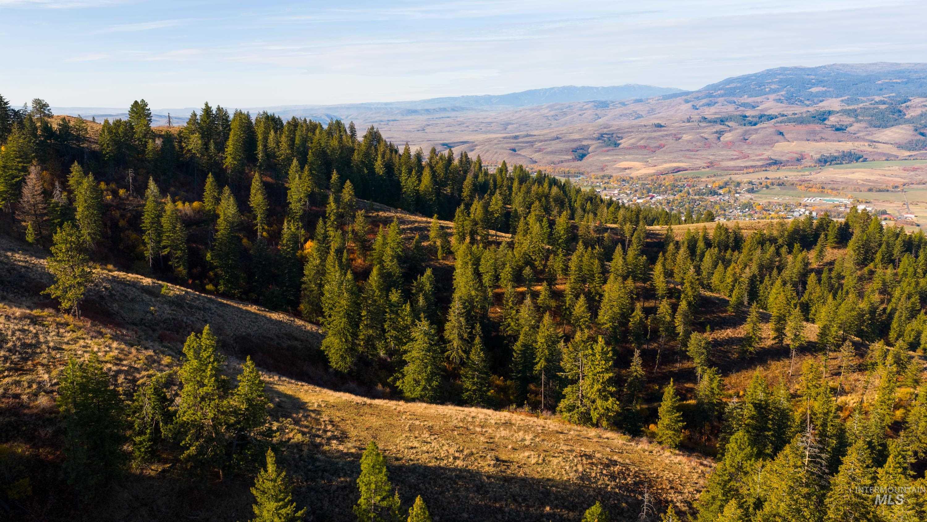 TBD TBD Entire Ranch, Council, Idaho 83612, 4 Bedrooms, 3.5 Bathrooms, Farm & Ranch For Sale, Price $8,600,000, 98969086