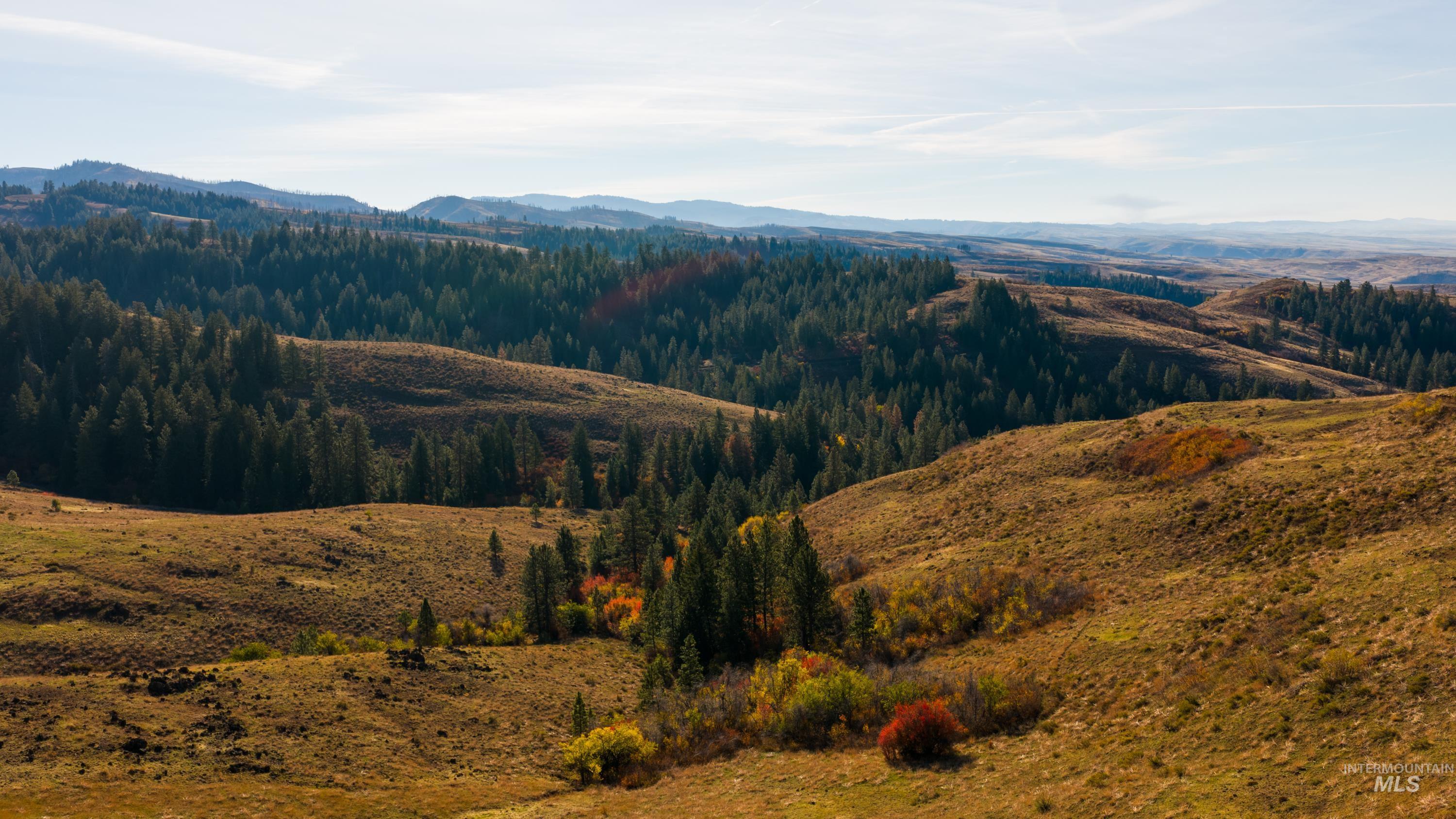 TBD TBD Entire Ranch, Council, Idaho 83612, 4 Bedrooms, 3.5 Bathrooms, Farm & Ranch For Sale, Price $8,600,000, 98969086