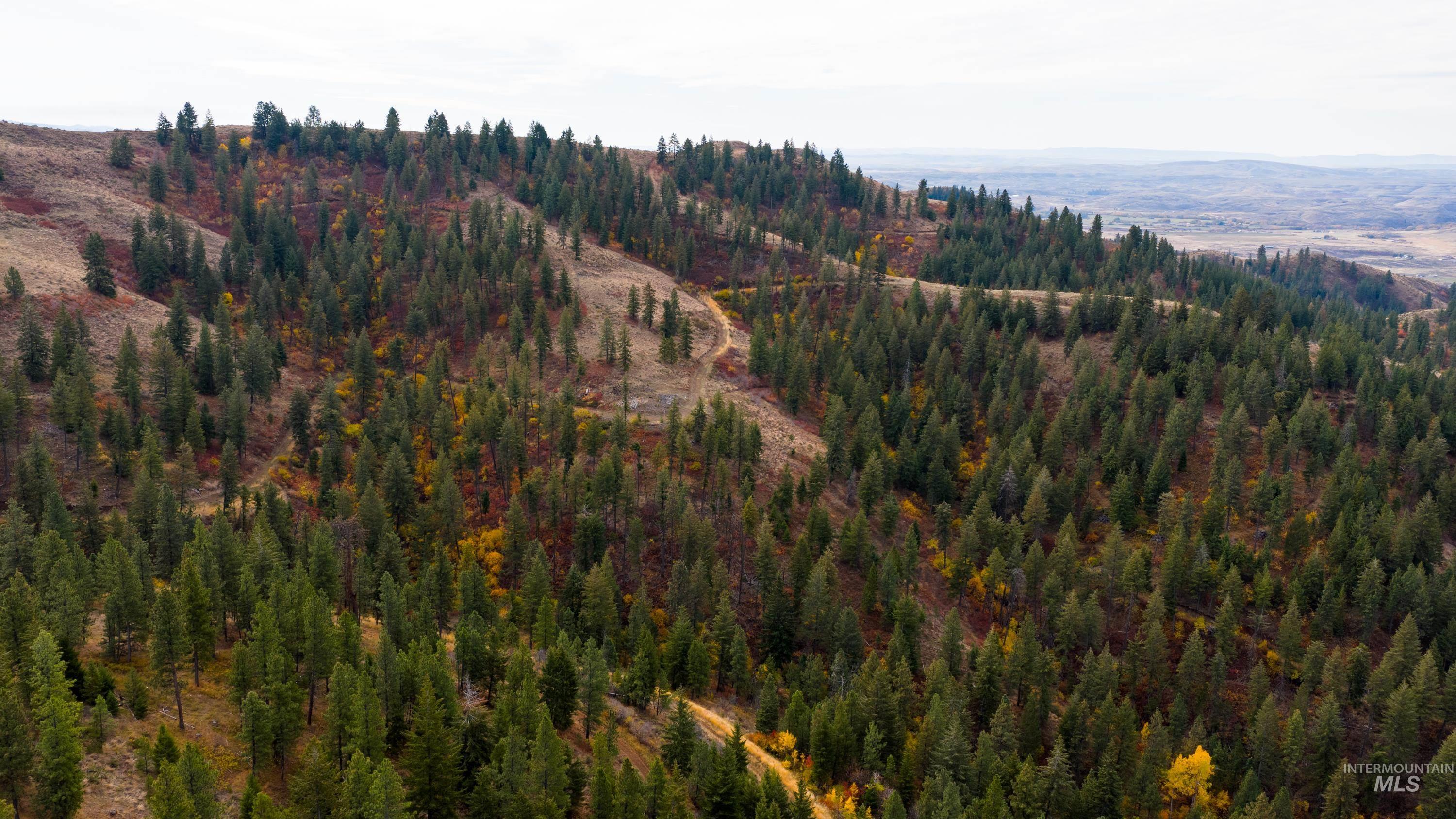 TBD TBD Entire Ranch, Council, Idaho 83612, 4 Bedrooms, 3.5 Bathrooms, Farm & Ranch For Sale, Price $8,600,000, 98969086