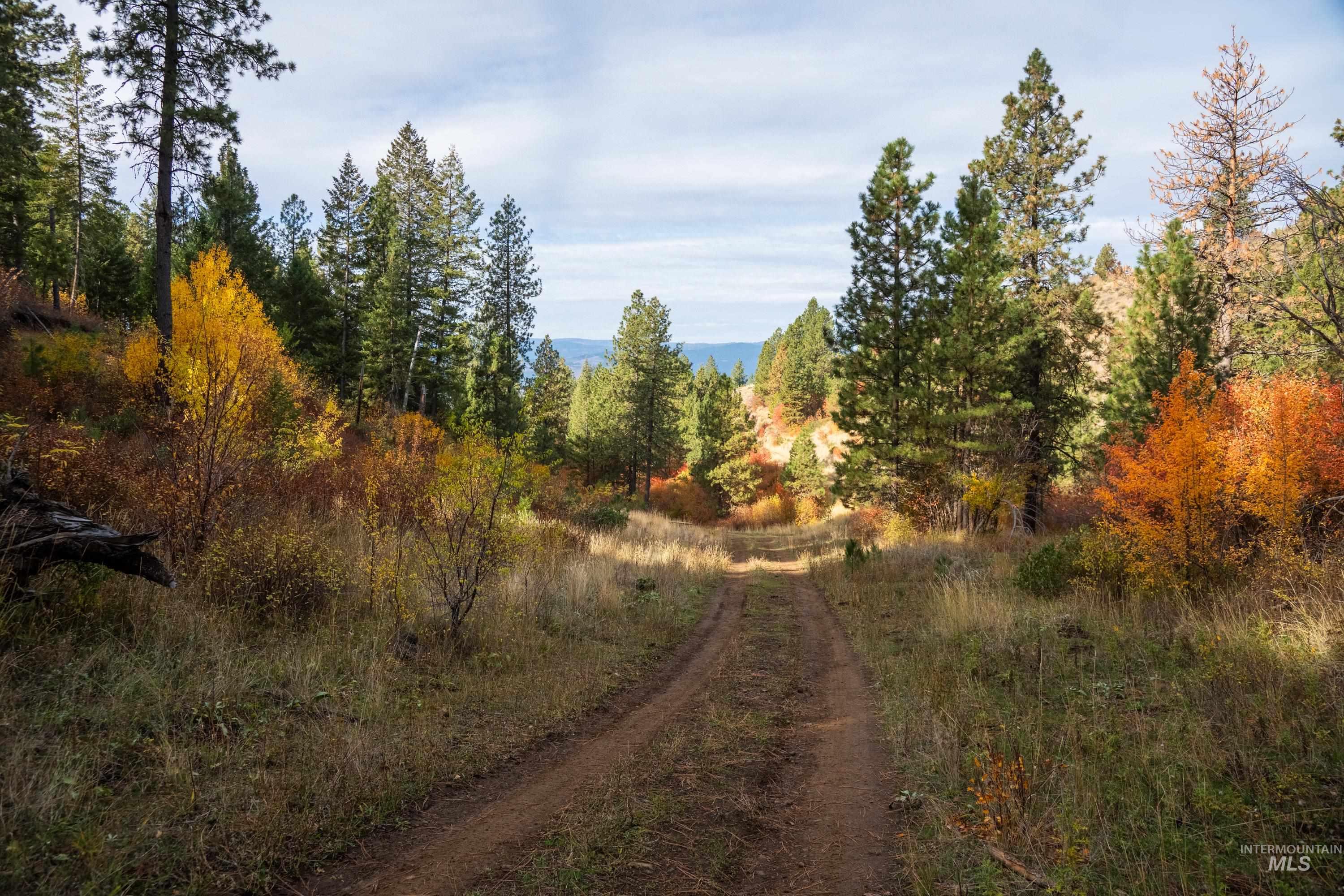 TBD TBD Entire Ranch, Council, Idaho 83612, 4 Bedrooms, 3.5 Bathrooms, Farm & Ranch For Sale, Price $8,600,000, 98969086