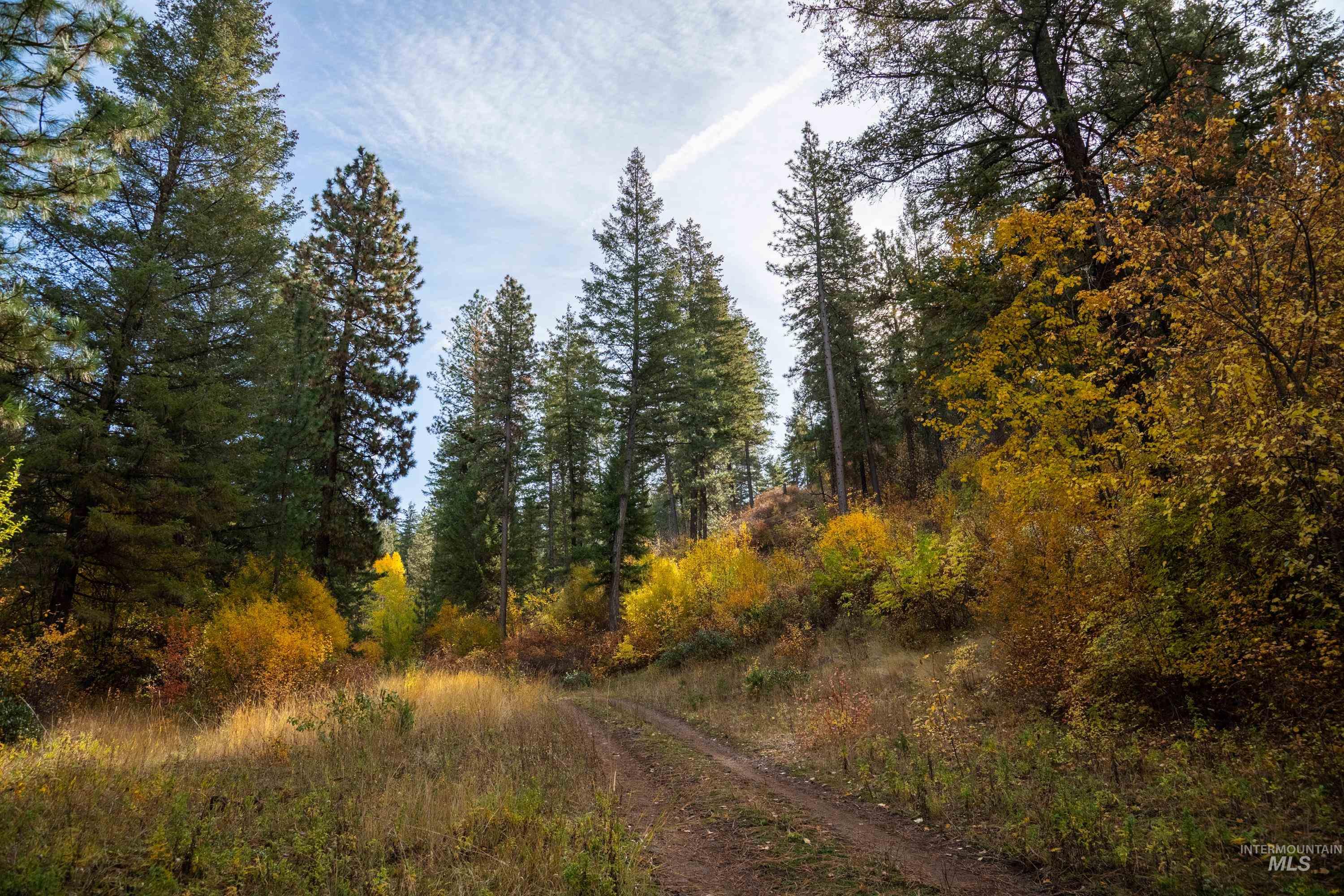 TBD TBD Entire Ranch, Council, Idaho 83612, 4 Bedrooms, 3.5 Bathrooms, Farm & Ranch For Sale, Price $8,600,000, 98969086