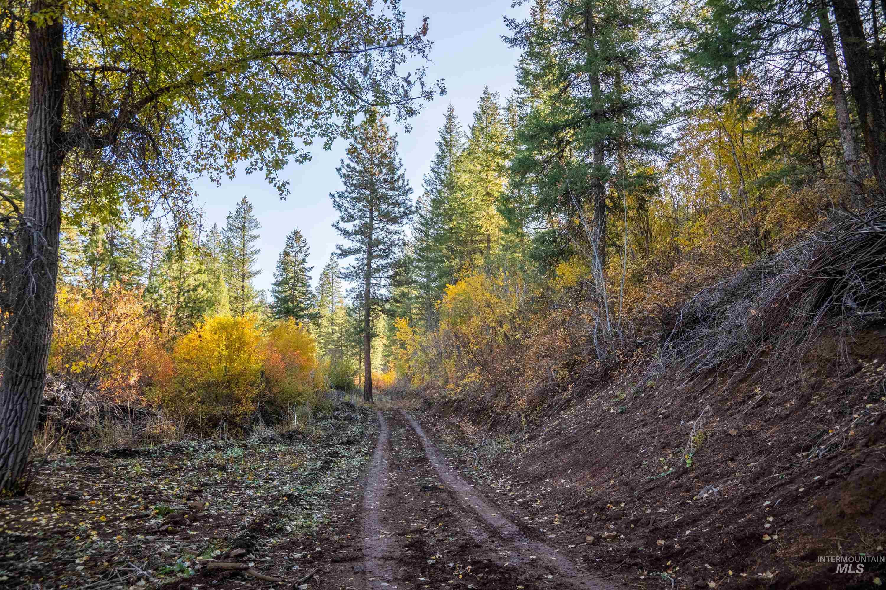 TBD TBD Entire Ranch, Council, Idaho 83612, 4 Bedrooms, 3.5 Bathrooms, Farm & Ranch For Sale, Price $8,600,000, 98969086