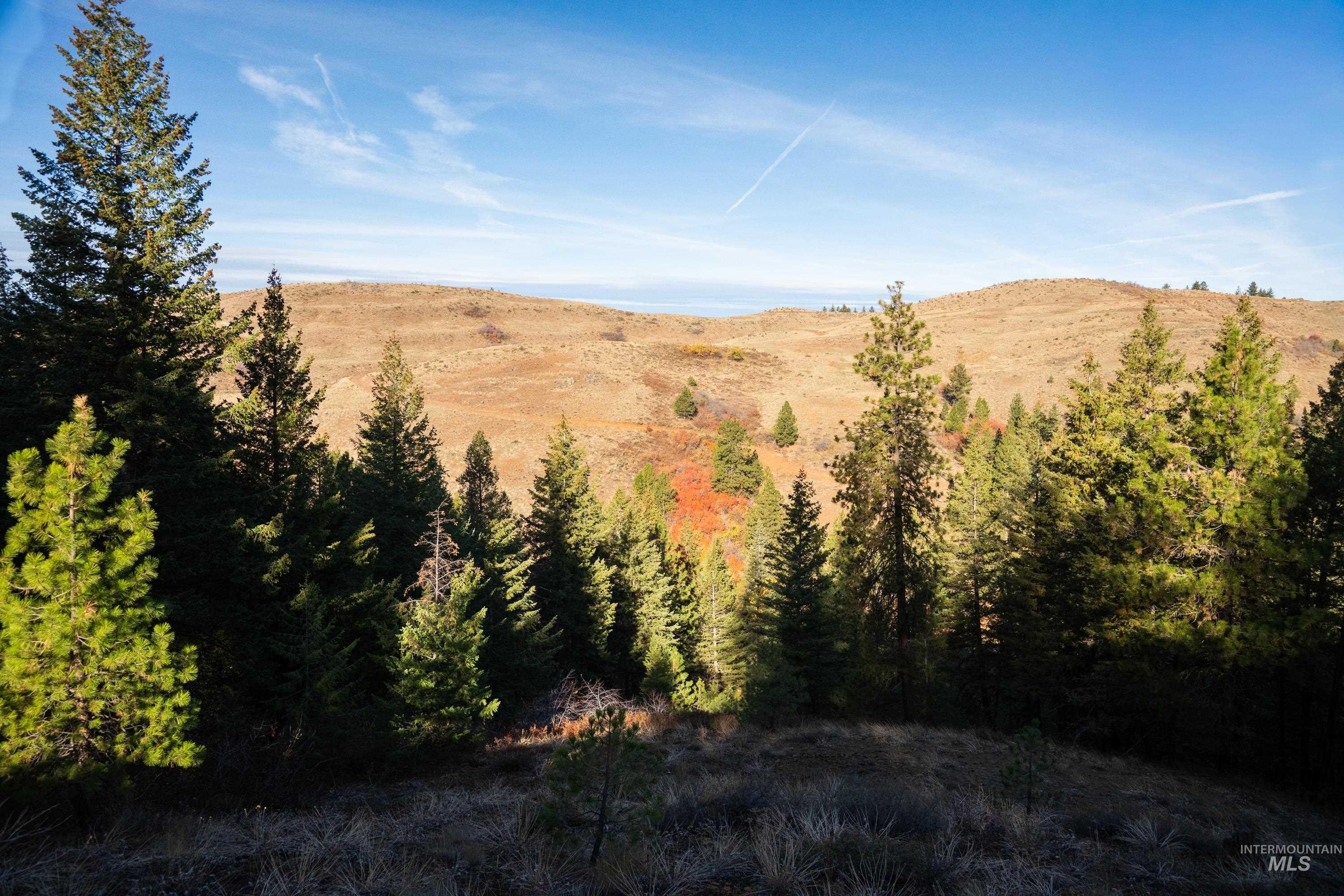 TBD TBD Entire Ranch, Council, Idaho 83612, 4 Bedrooms, 3.5 Bathrooms, Farm & Ranch For Sale, Price $8,600,000, 98969086