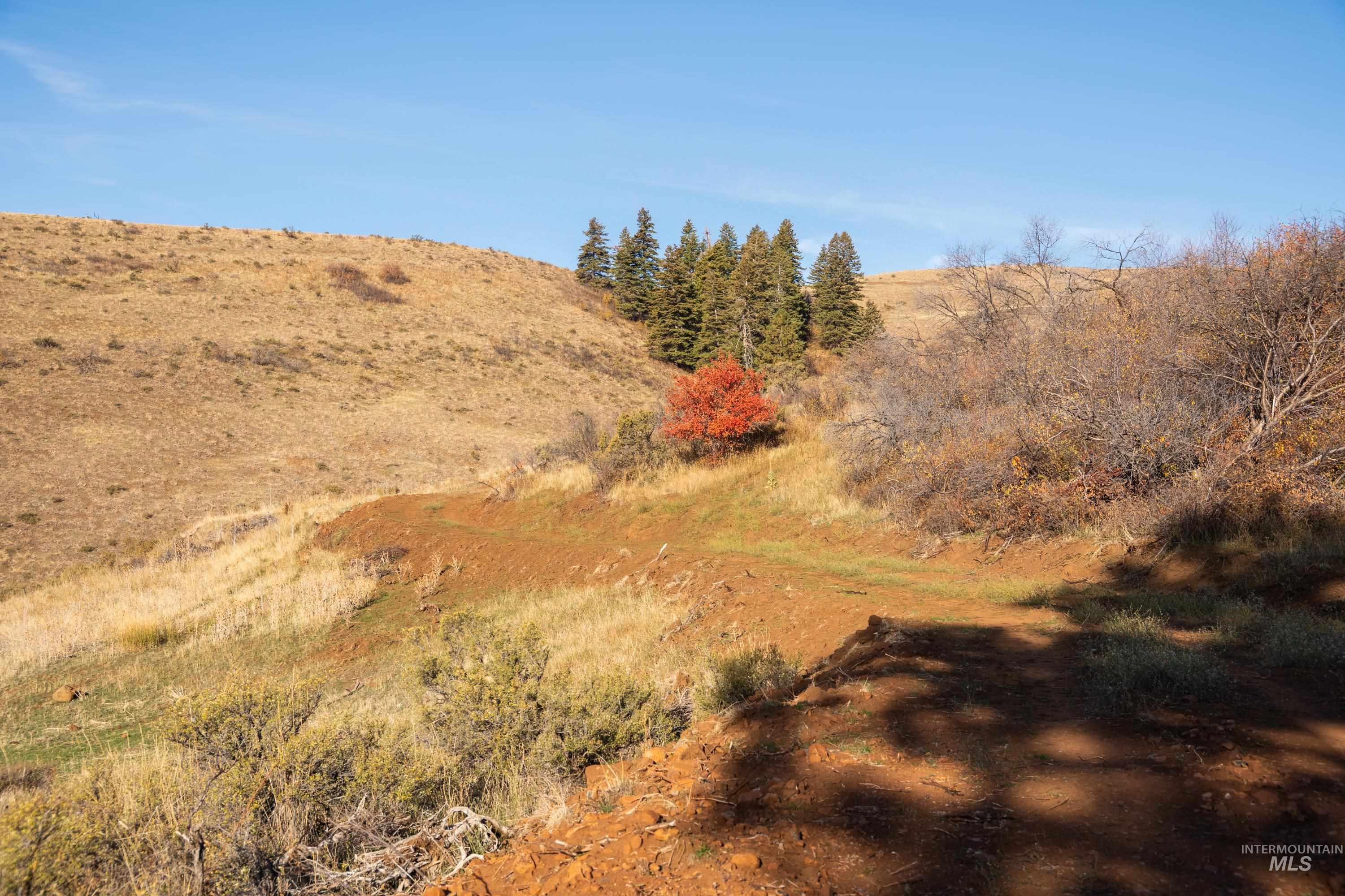 TBD TBD Entire Ranch, Council, Idaho 83612, 4 Bedrooms, 3.5 Bathrooms, Farm & Ranch For Sale, Price $8,600,000, 98969086