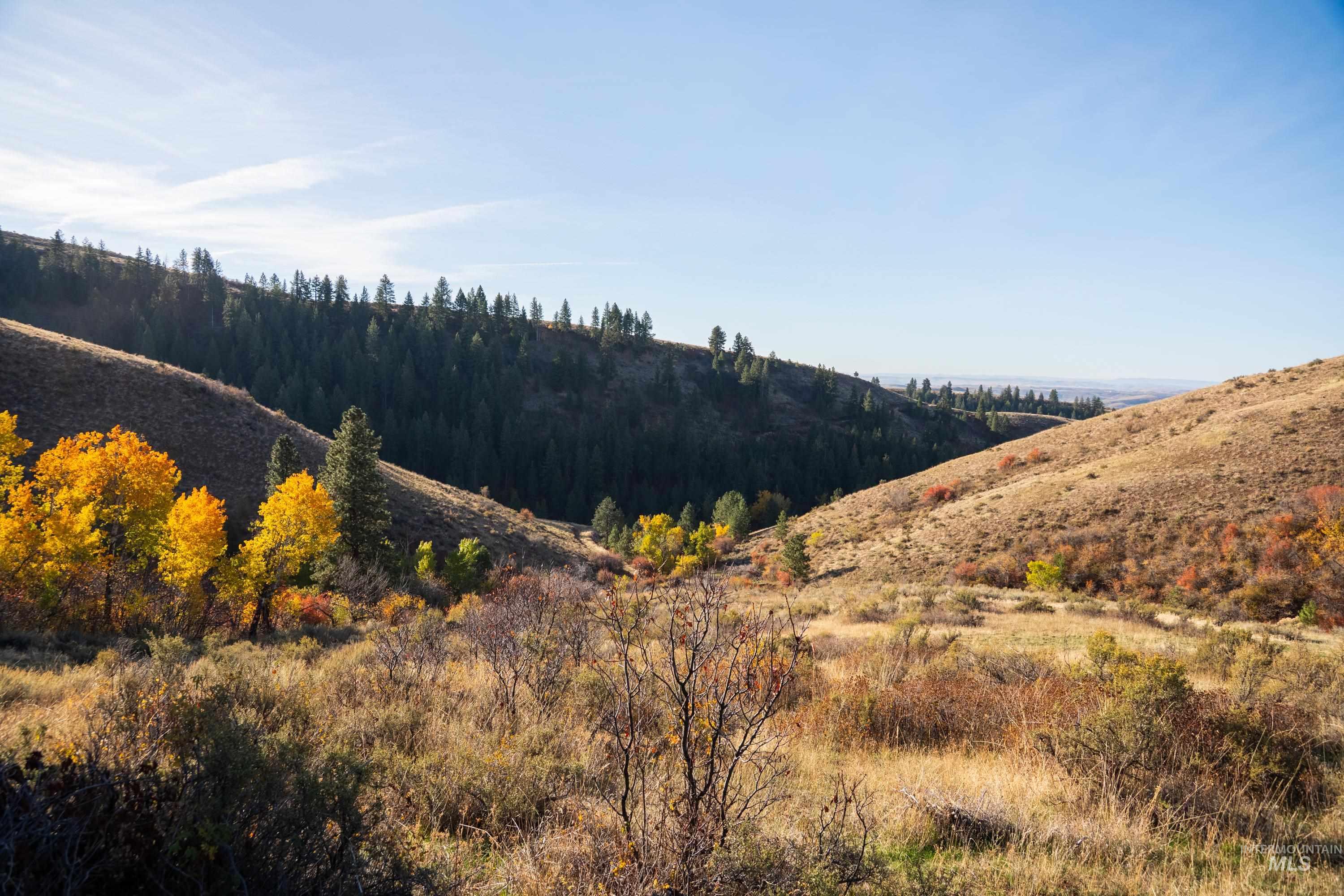 TBD TBD Entire Ranch, Council, Idaho 83612, 4 Bedrooms, 3.5 Bathrooms, Farm & Ranch For Sale, Price $8,600,000, 98969086