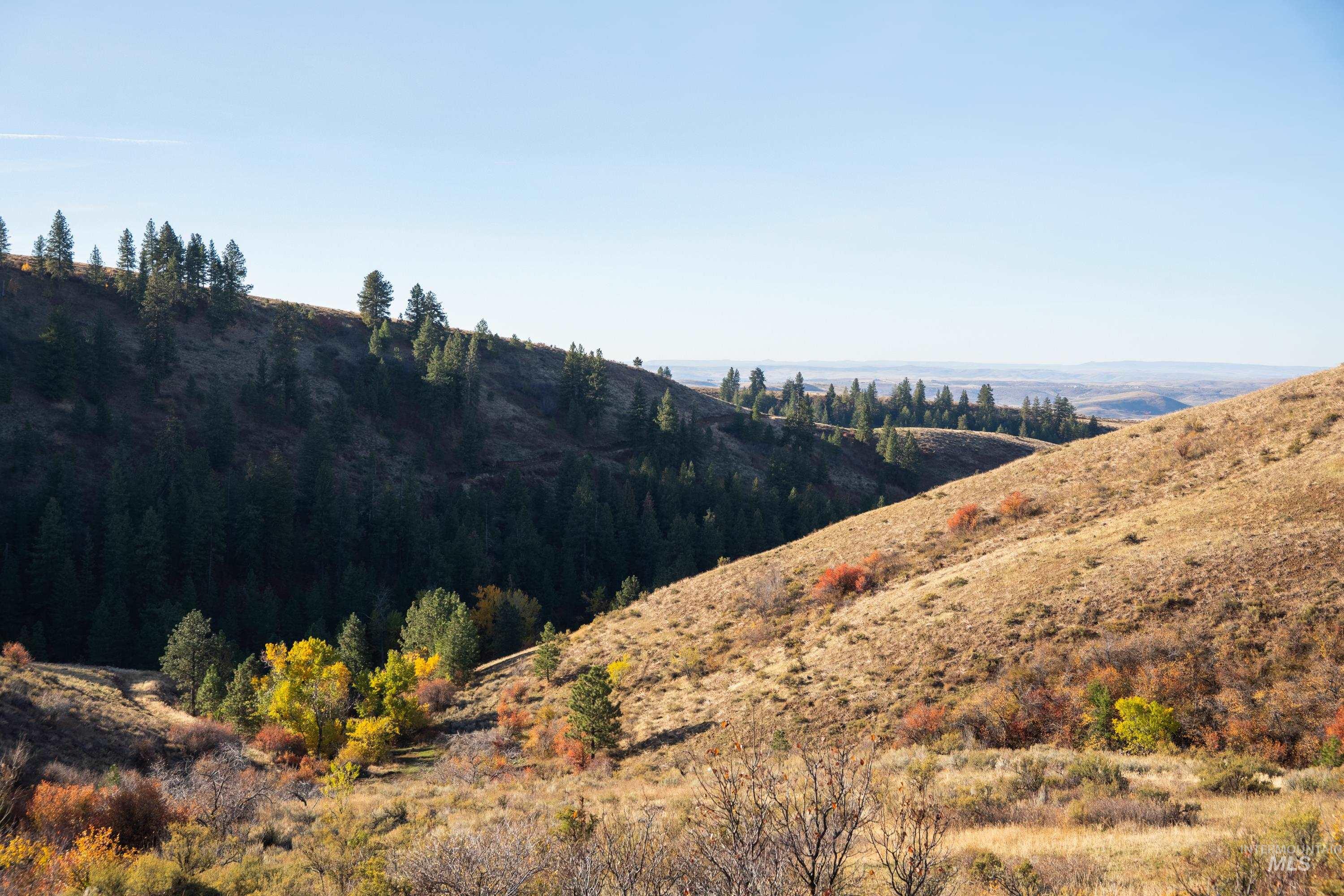 TBD TBD Entire Ranch, Council, Idaho 83612, 4 Bedrooms, 3.5 Bathrooms, Farm & Ranch For Sale, Price $8,600,000, 98969086