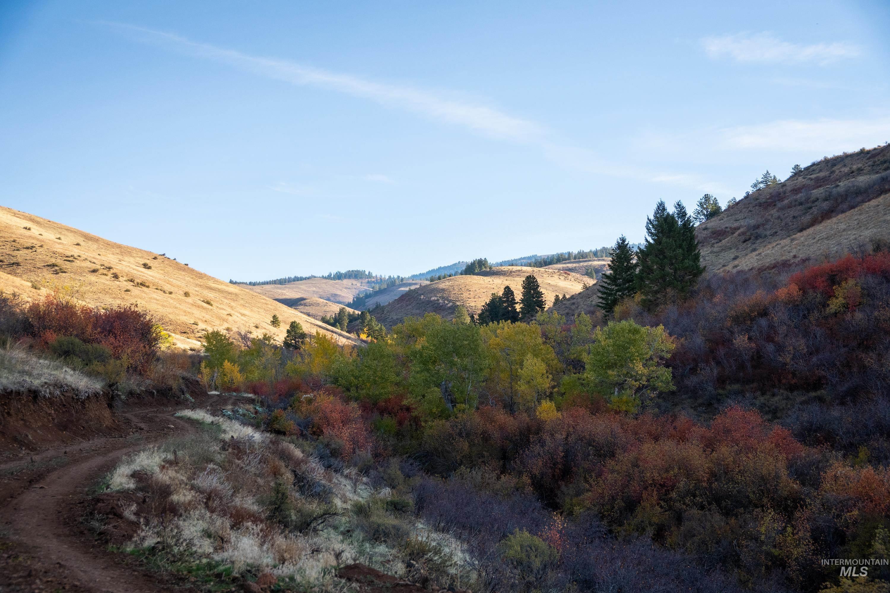 TBD TBD Entire Ranch, Council, Idaho 83612, 4 Bedrooms, 3.5 Bathrooms, Farm & Ranch For Sale, Price $8,600,000, 98969086