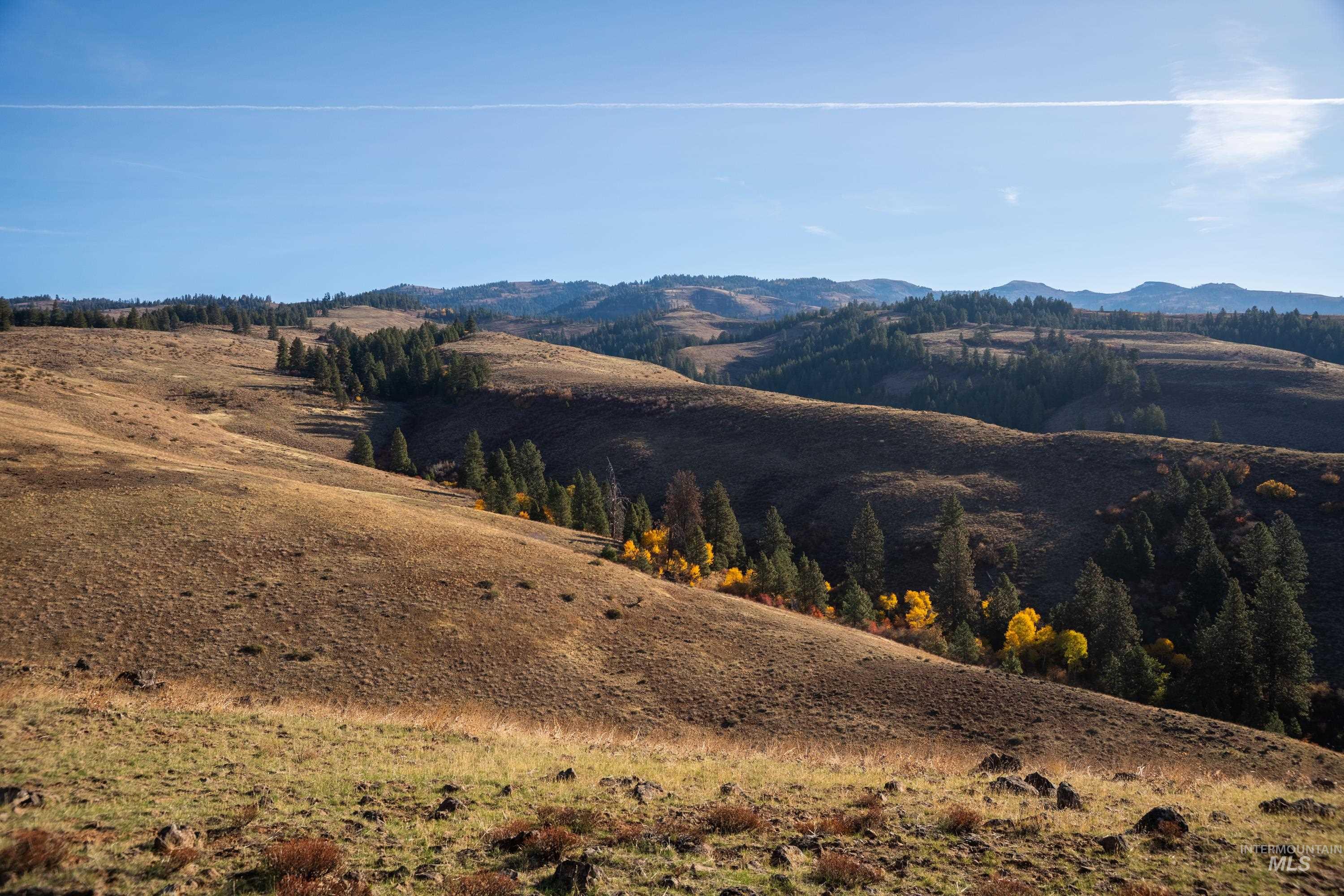 TBD TBD Entire Ranch, Council, Idaho 83612, 4 Bedrooms, 3.5 Bathrooms, Farm & Ranch For Sale, Price $8,600,000, 98969086