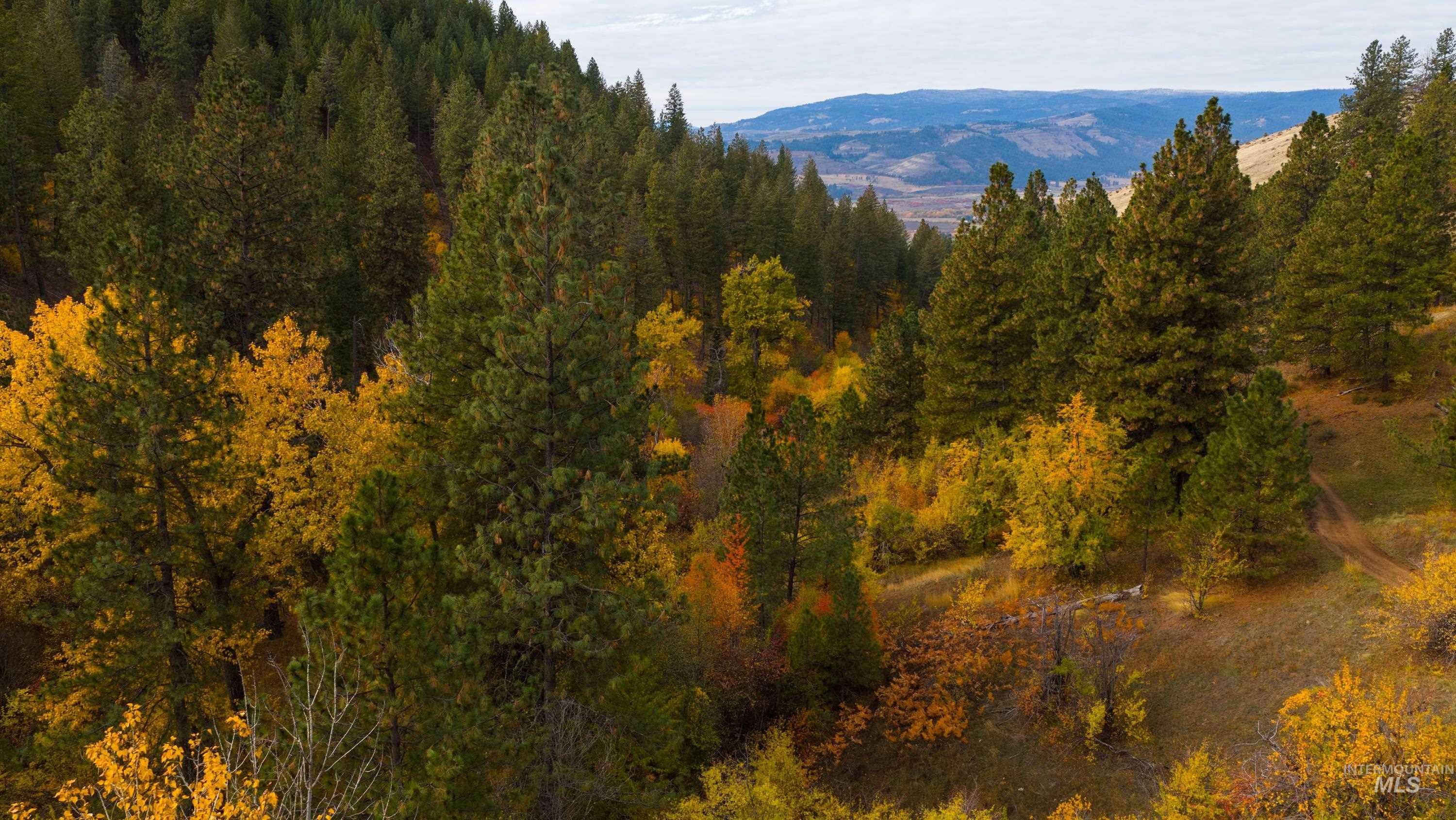 TBD TBD Entire Ranch, Council, Idaho 83612, 4 Bedrooms, 3.5 Bathrooms, Farm & Ranch For Sale, Price $8,600,000, 98969086