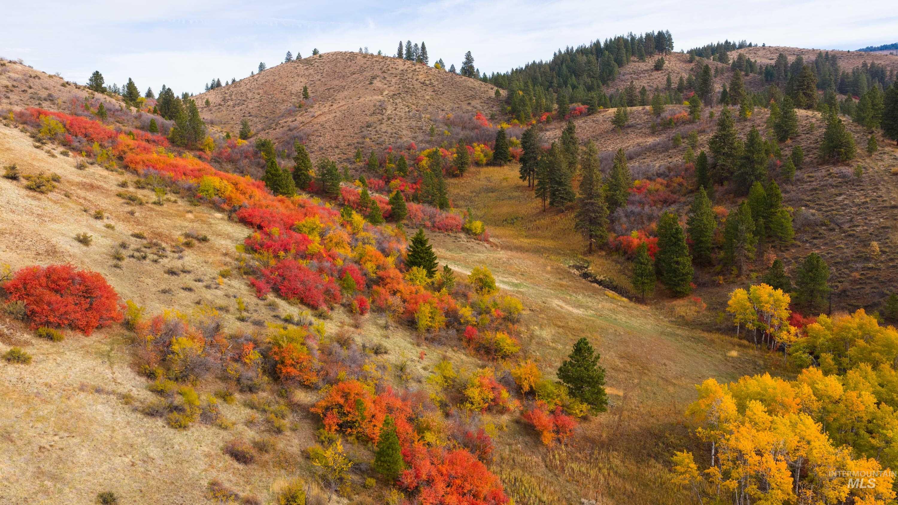 TBD TBD Entire Ranch, Council, Idaho 83612, 4 Bedrooms, 3.5 Bathrooms, Farm & Ranch For Sale, Price $8,600,000, 98969086