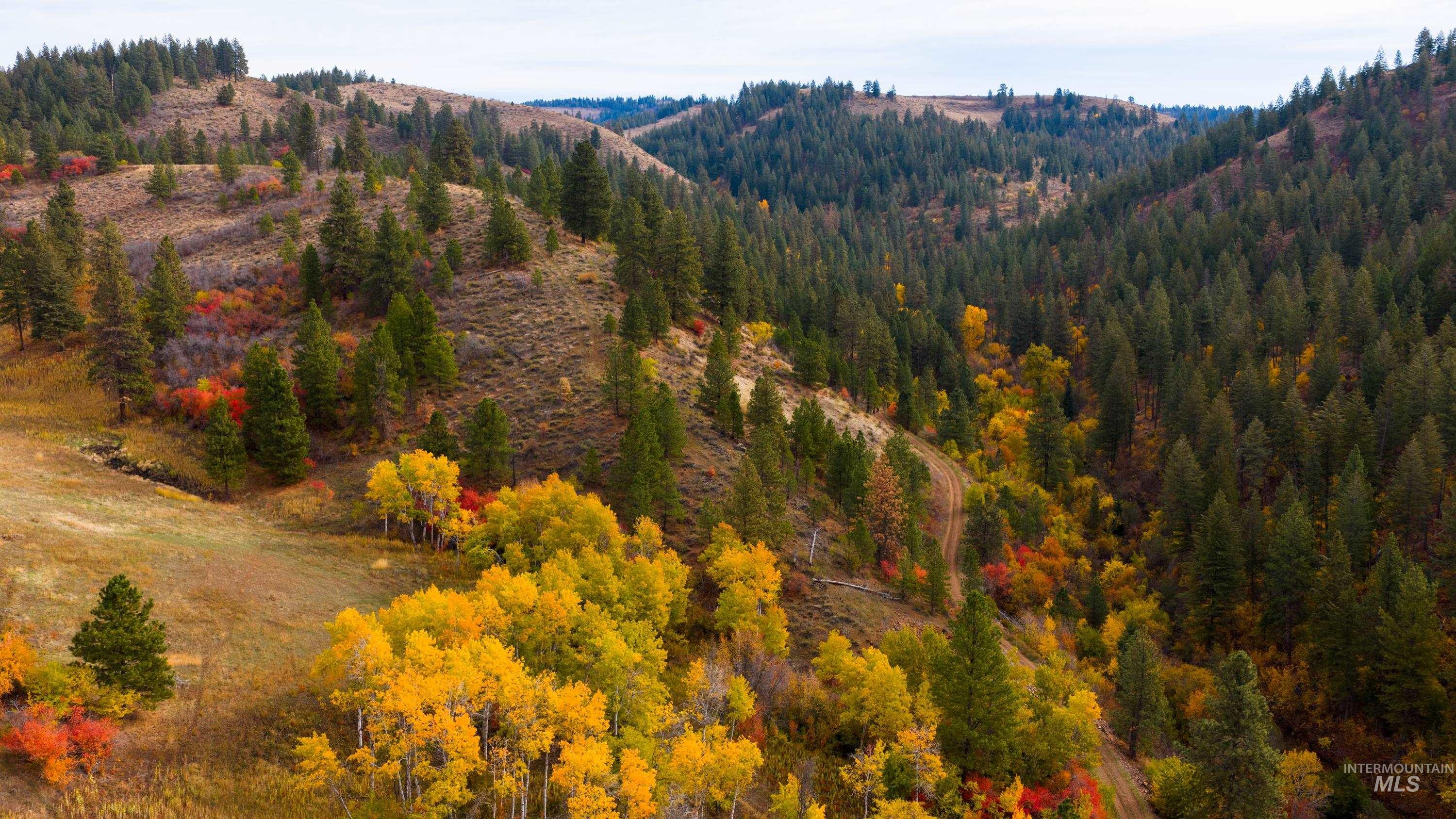 TBD TBD Entire Ranch, Council, Idaho 83612, 4 Bedrooms, 3.5 Bathrooms, Farm & Ranch For Sale, Price $8,600,000, 98969086