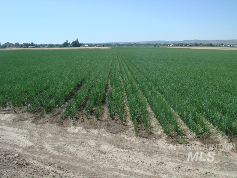 TBD Indian Head Rd., Weiser, Idaho 83672, Land For Sale, Price $650,000,MLS 98969094