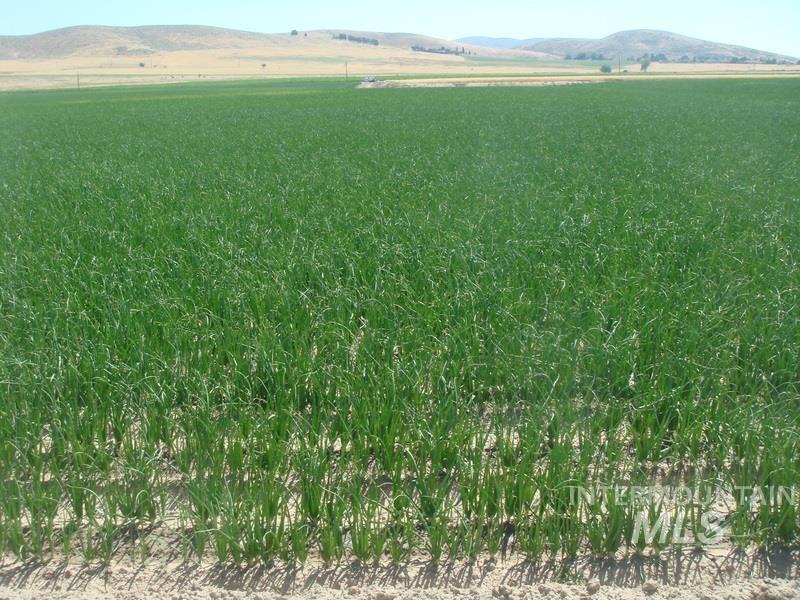 TBD Indian Head Rd., Weiser, Idaho 83672, Land For Sale, Price $650,000,MLS 98969094