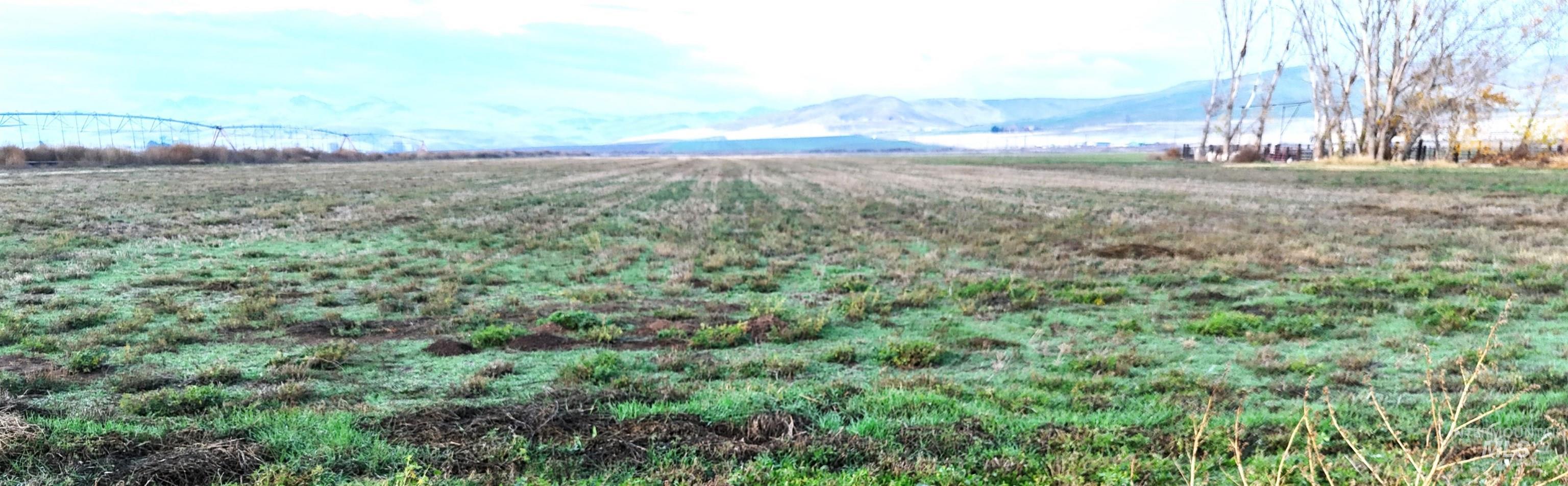 TBD Indian Head Rd., Weiser, Idaho 83672, Land For Sale, Price $650,000,MLS 98969094