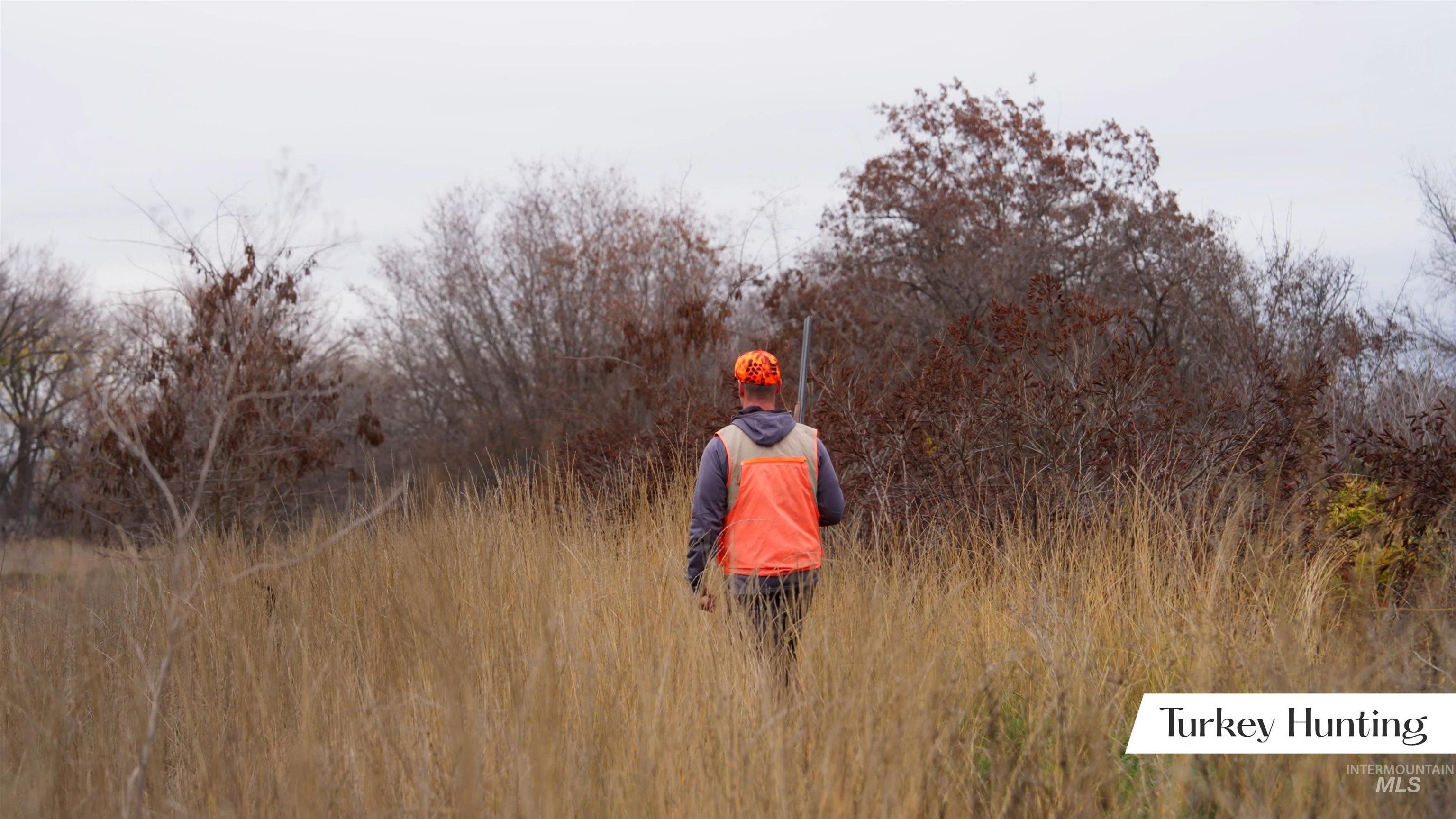 Exterior view of a heavily wooded area
