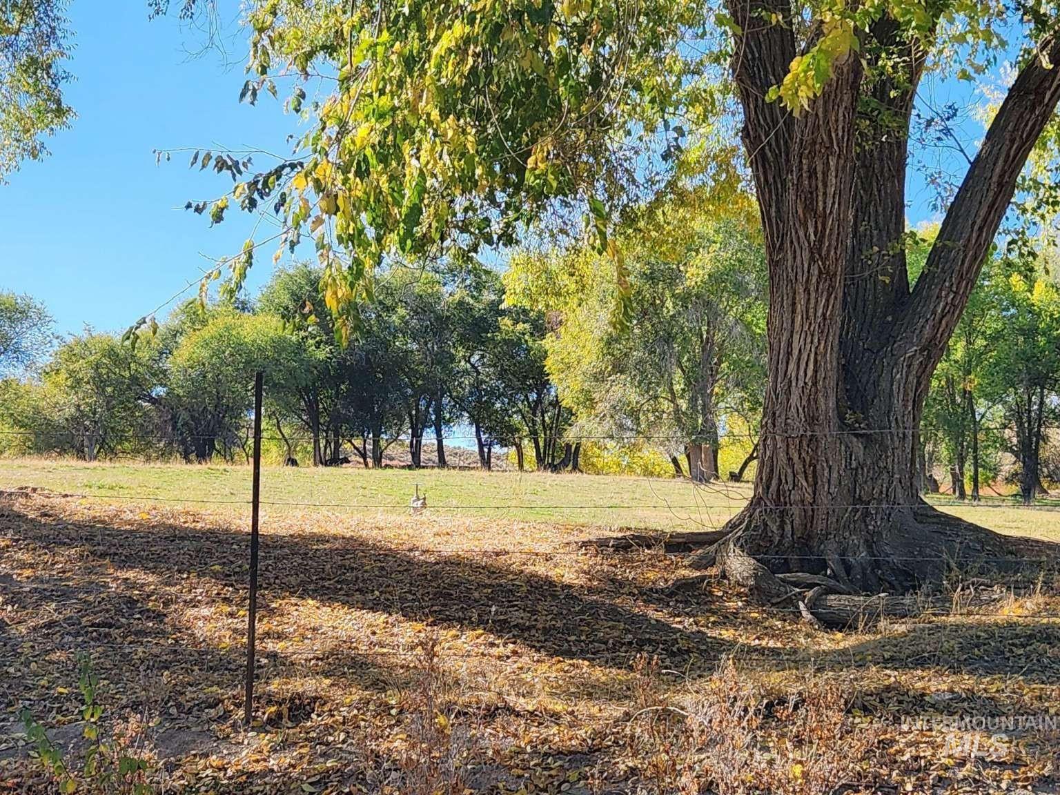 685 King Ave, Ontario, Oregon 97914, 3 Bedrooms, 2 Bathrooms, Residential For Sale, Price $649,000,MLS 98969138