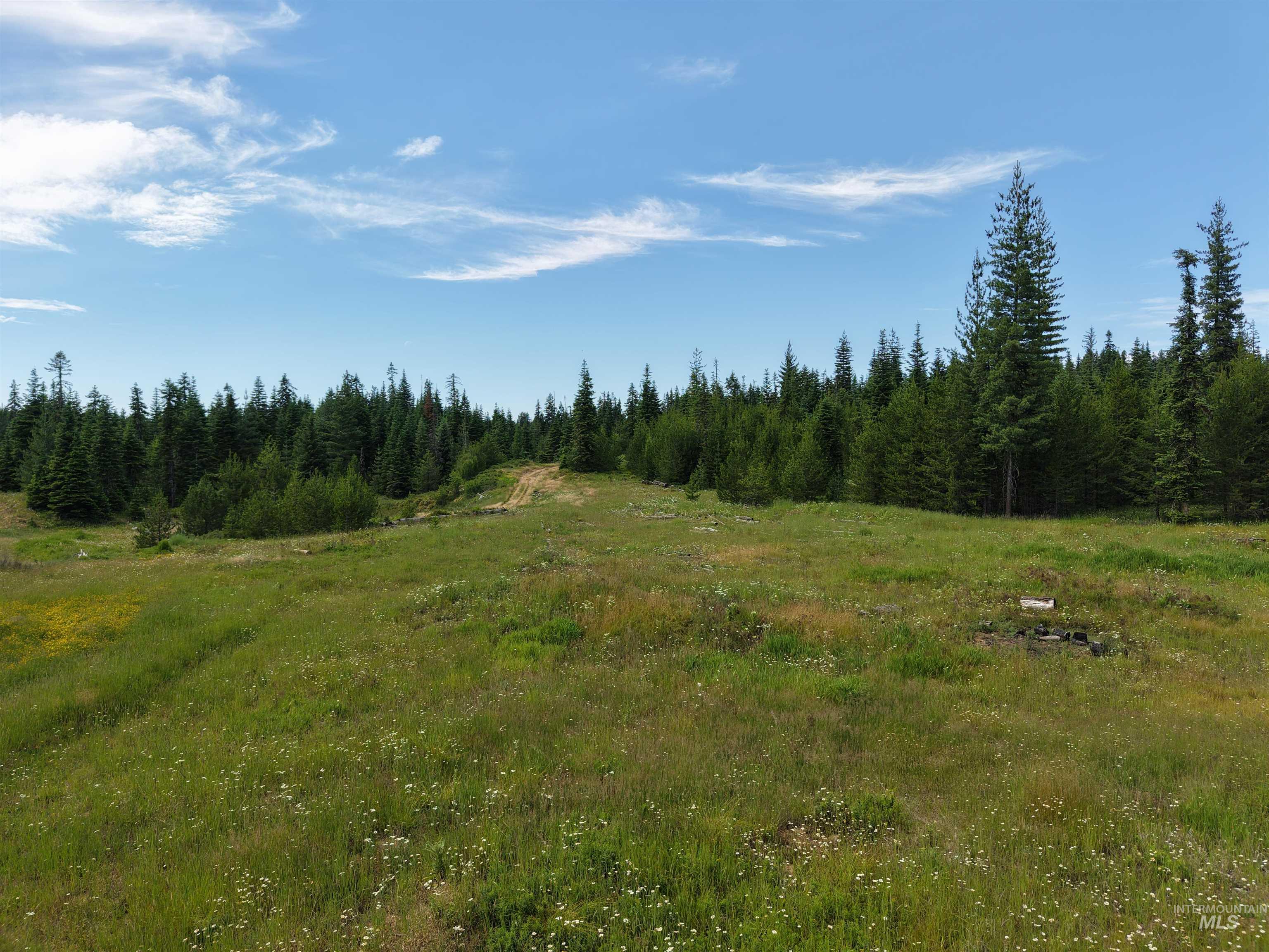 TBD Highway 11, Weippe, Idaho 83553, Land For Sale, Price $585,000, 98969140