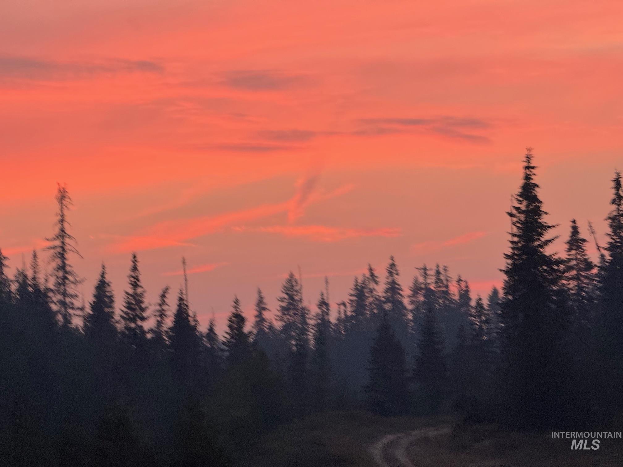 TBD Highway 11, Weippe, Idaho 83553, Land For Sale, Price $679,000,MLS 98969140