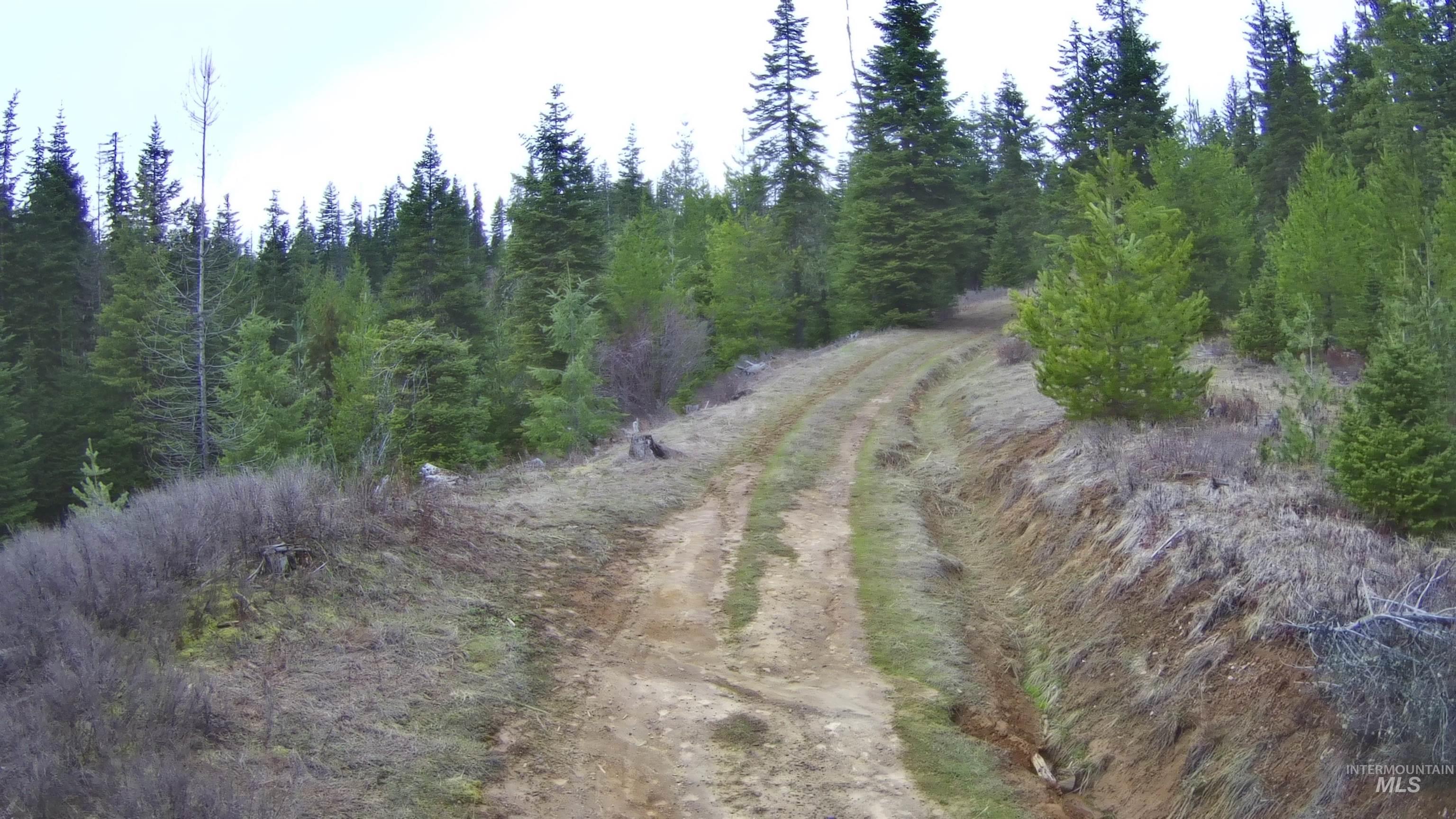 TBD Highway 11, Weippe, Idaho 83553, Land For Sale, Price $625,000,MLS 98969140