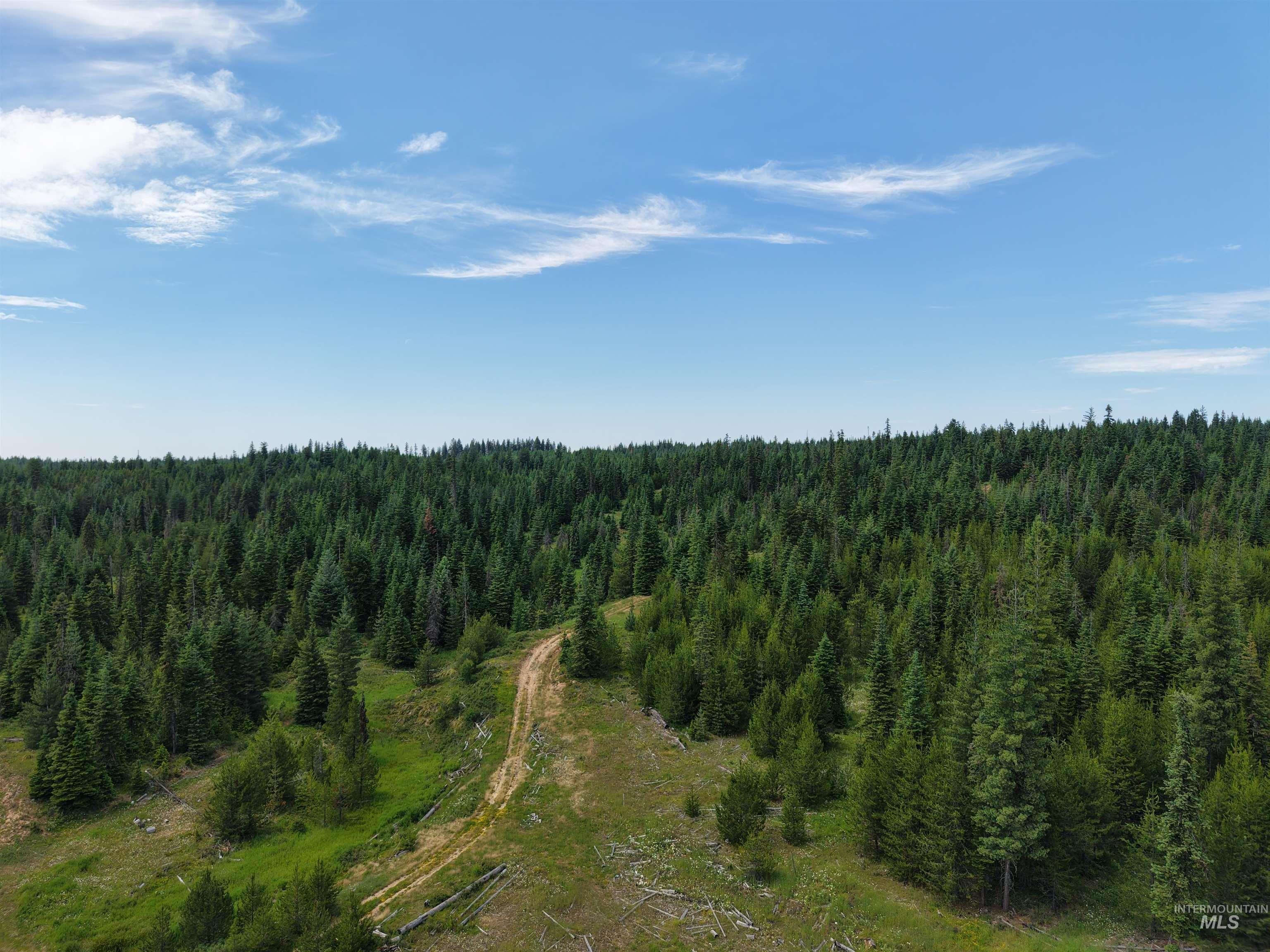 TBD Highway 11, Weippe, Idaho 83553, Land For Sale, Price $585,000, 98969140