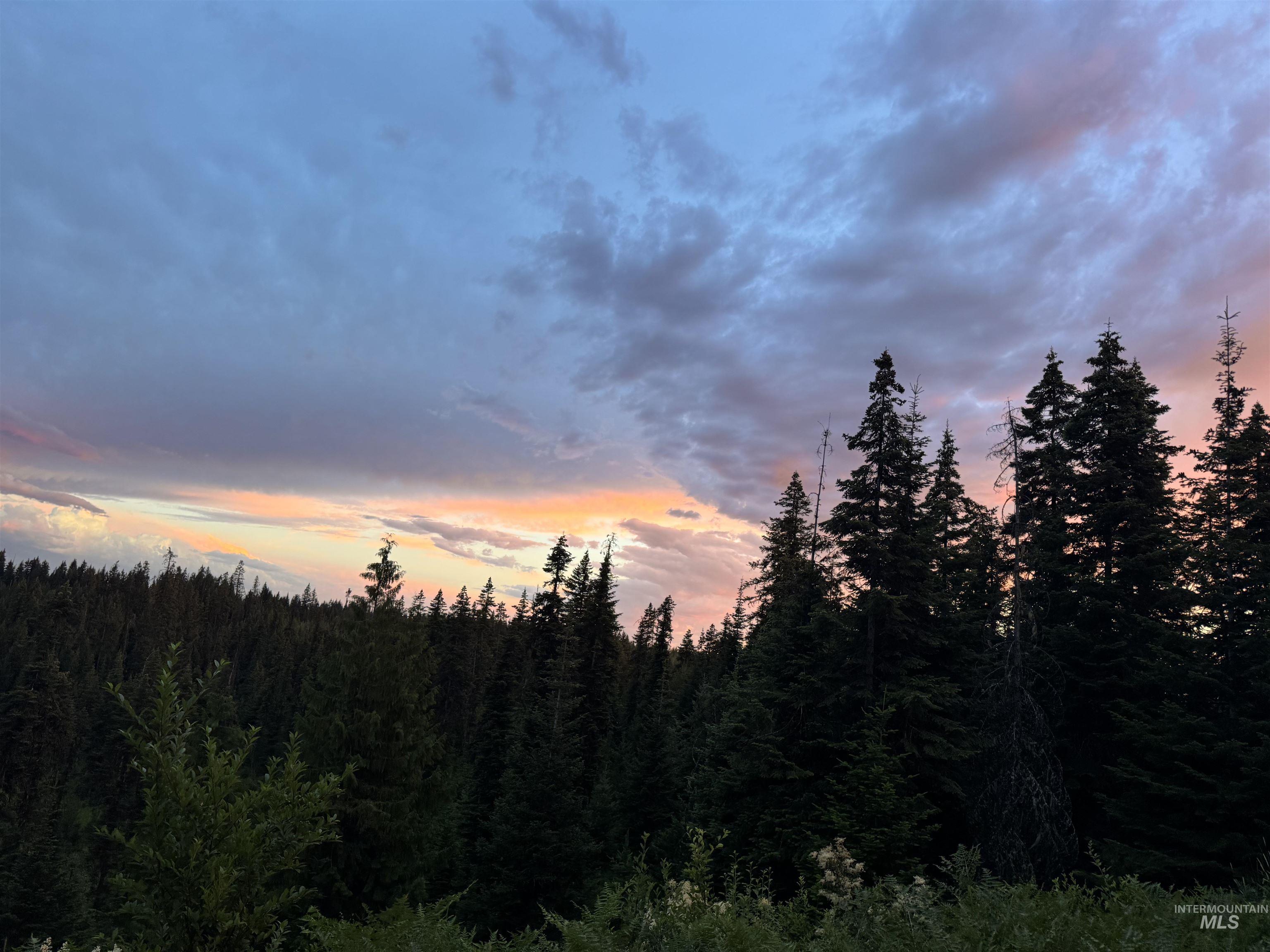 TBD Highway 11, Weippe, Idaho 83553, Land For Sale, Price $625,000, 98969140