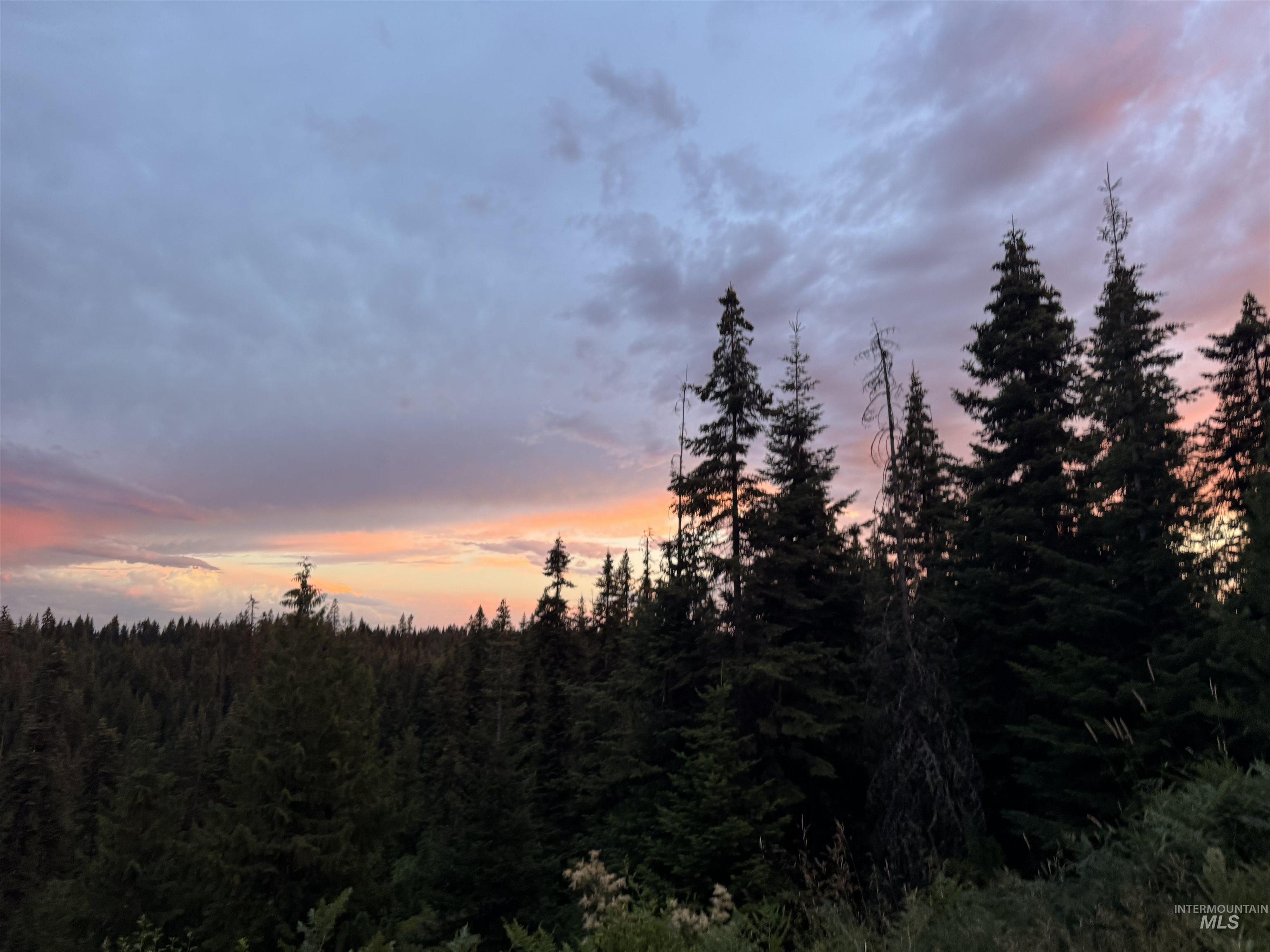 TBD Highway 11, Weippe, Idaho 83553, Land For Sale, Price $625,000, 98969140