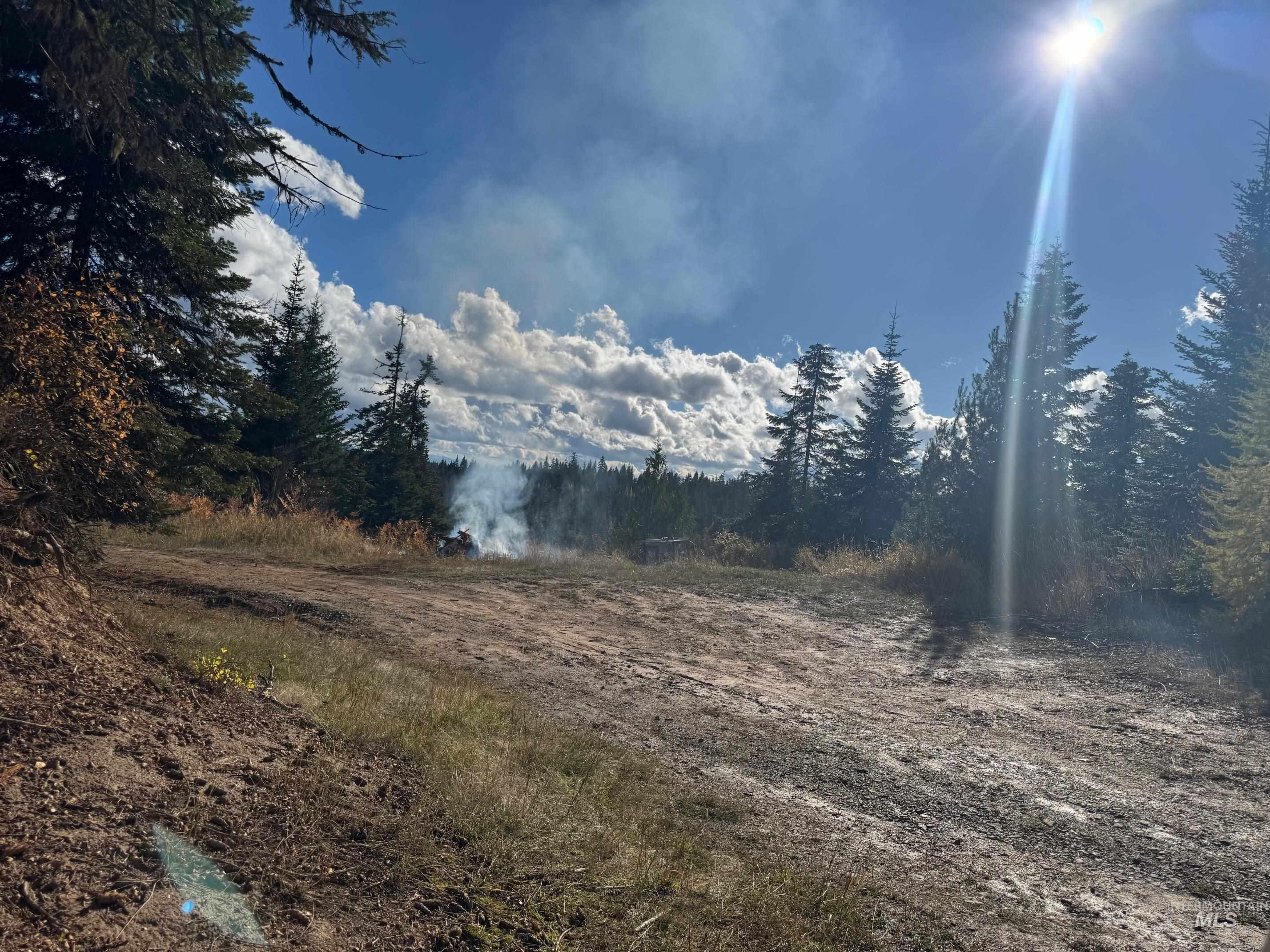 TBD Highway 11, Weippe, Idaho 83553, Land For Sale, Price $625,000, 98969140