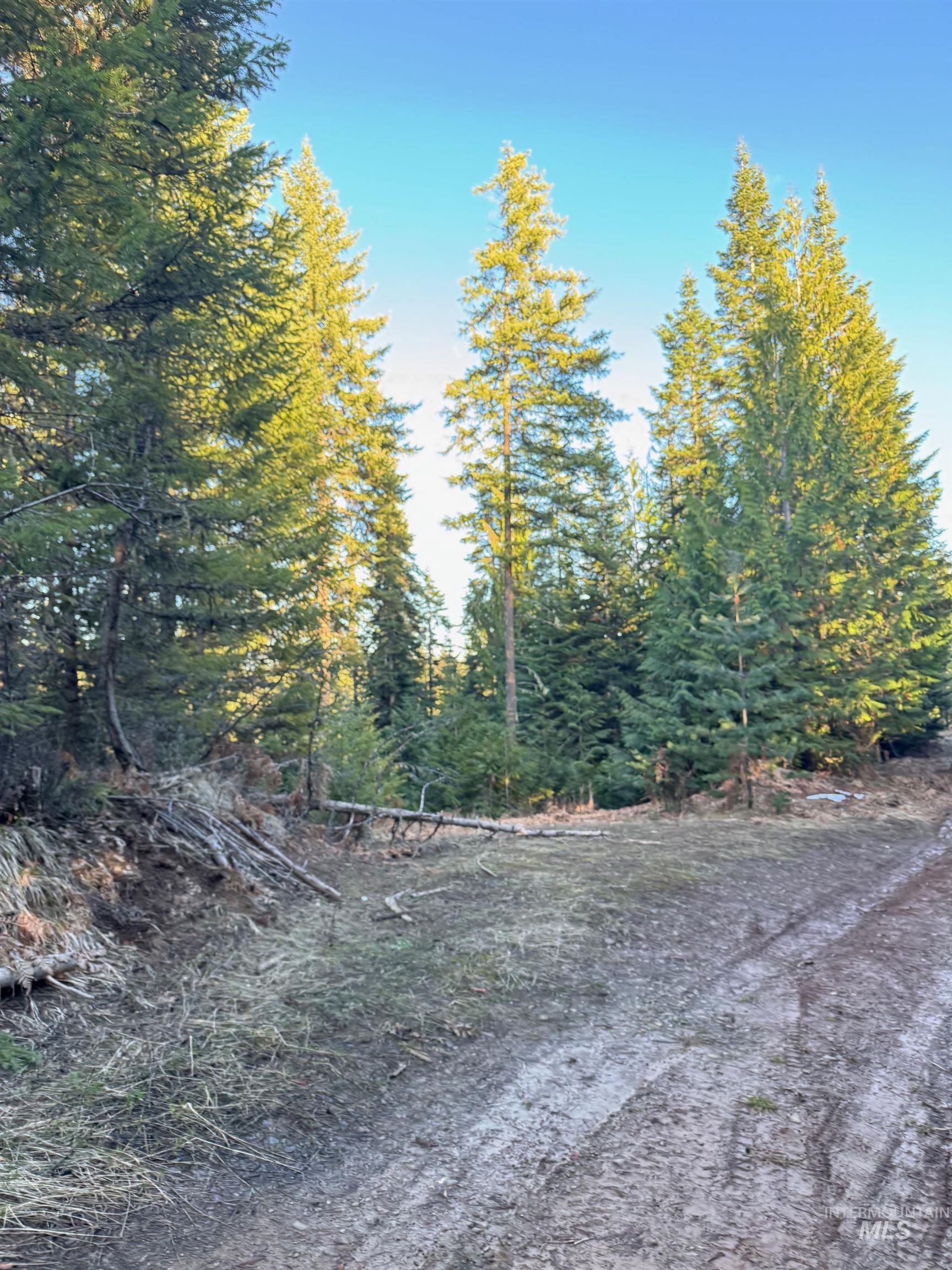TBD Highway 11, Weippe, Idaho 83553, Land For Sale, Price $625,000, 98969140