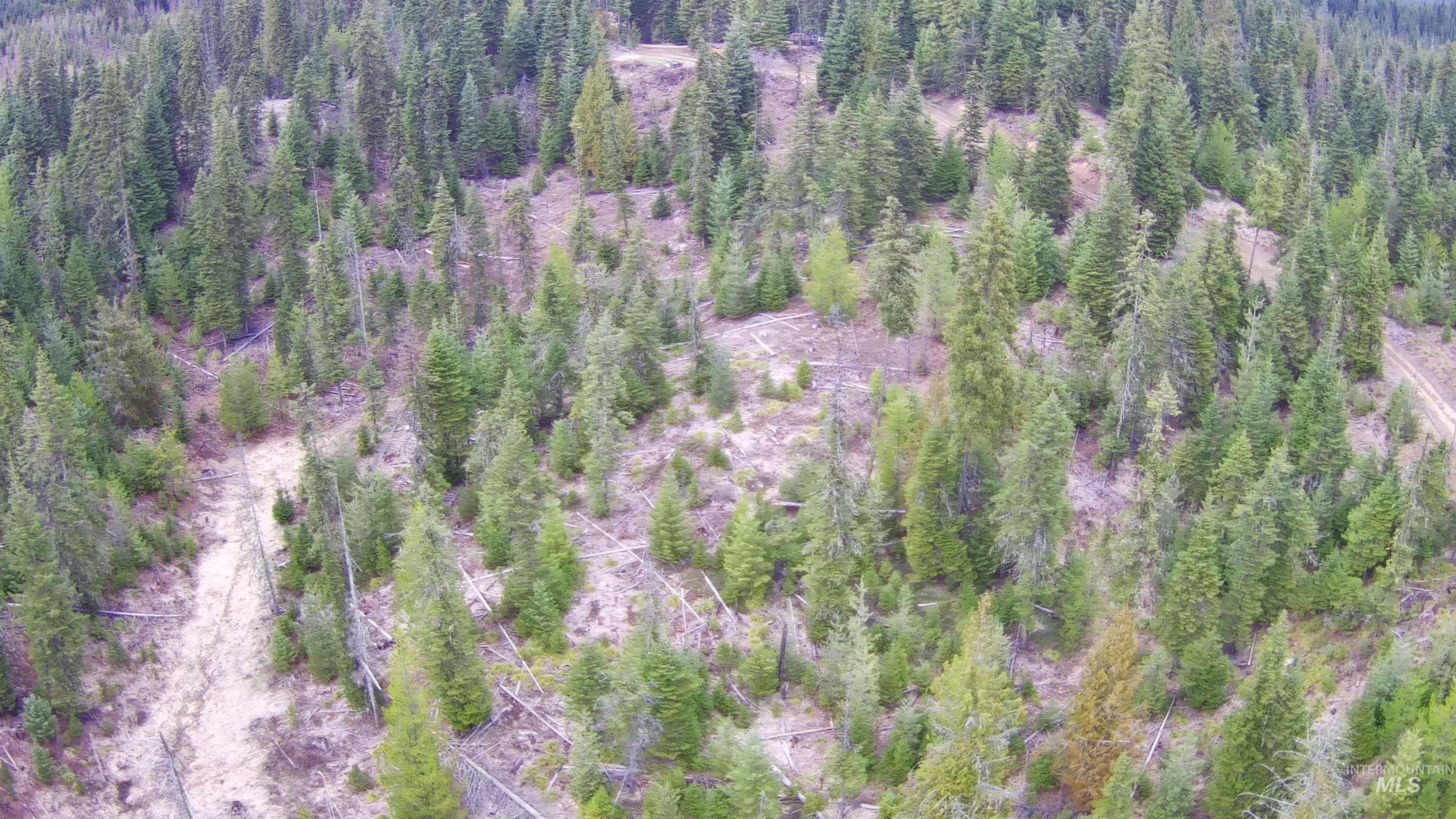 TBD Highway 11, Weippe, Idaho 83553, Land For Sale, Price $625,000, 98969140