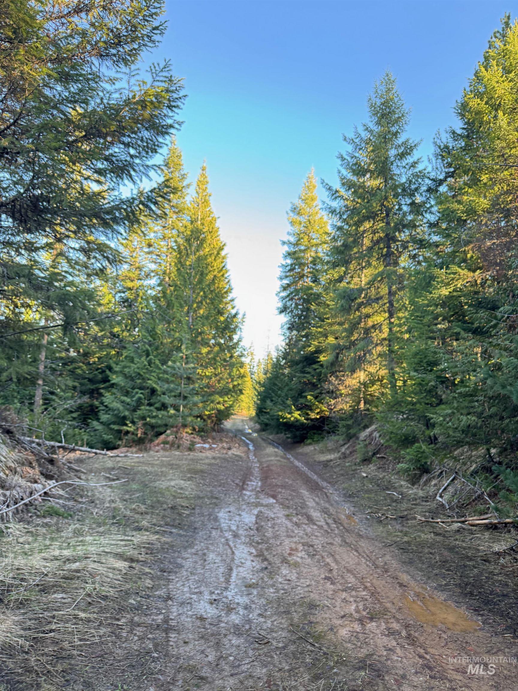TBD Highway 11, Weippe, Idaho 83553, Land For Sale, Price $625,000, 98969140