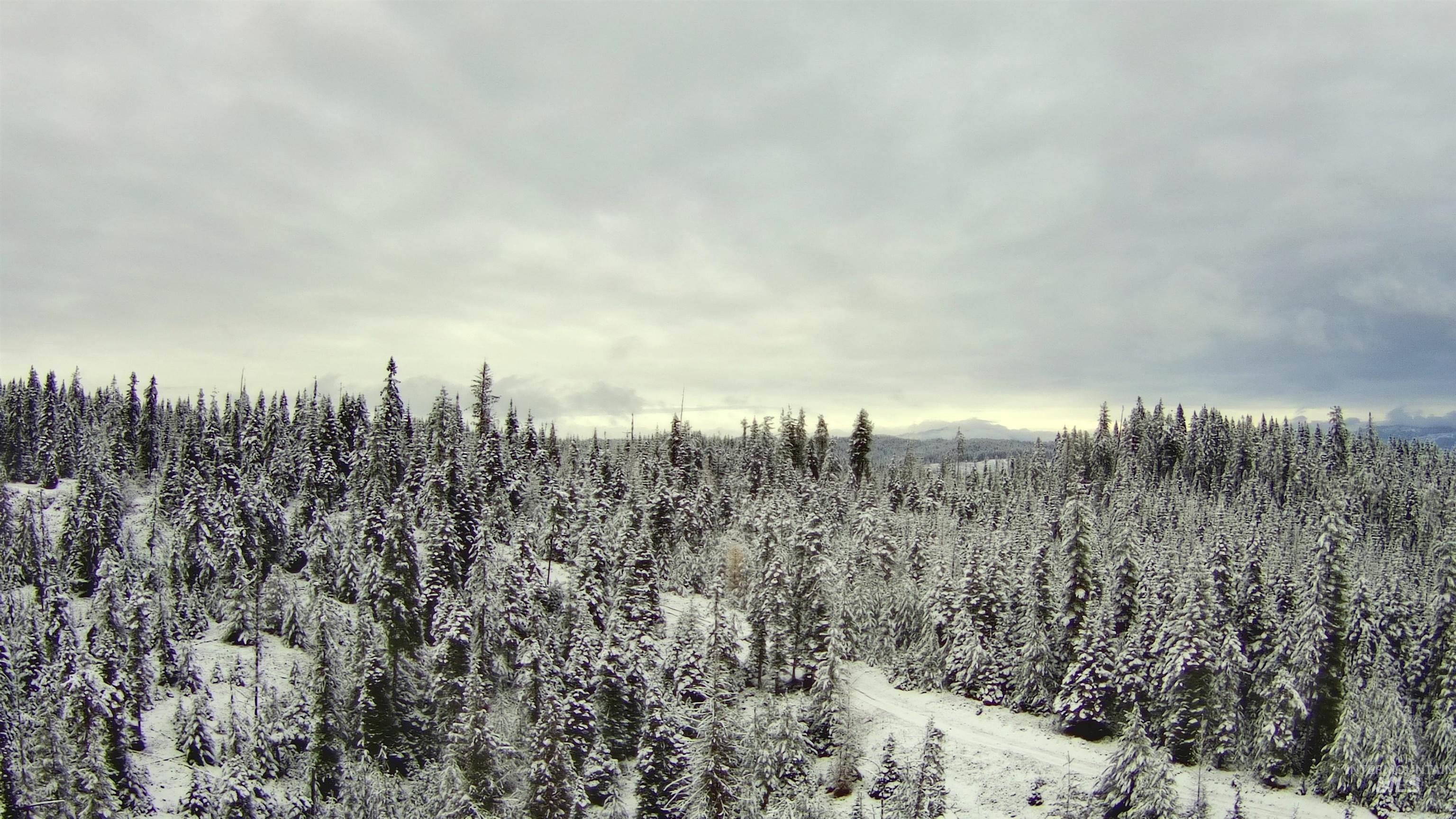 TBD Highway 11, Weippe, Idaho 83553, Land For Sale, Price $679,000,MLS 98969140