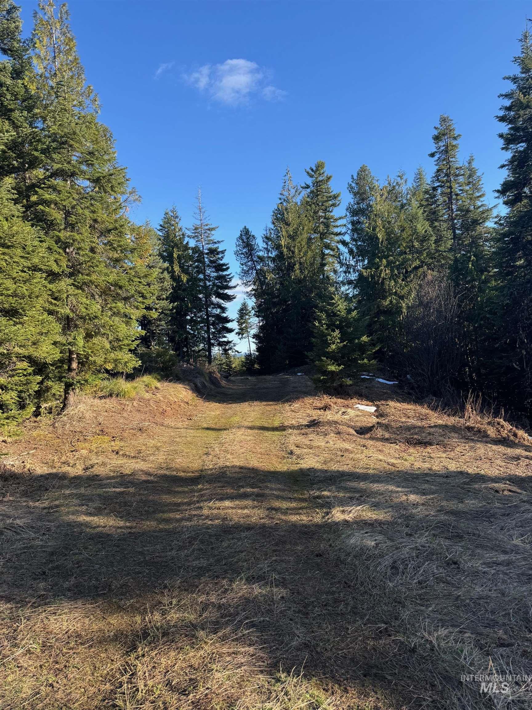 TBD Highway 11, Weippe, Idaho 83553, Land For Sale, Price $625,000, 98969140