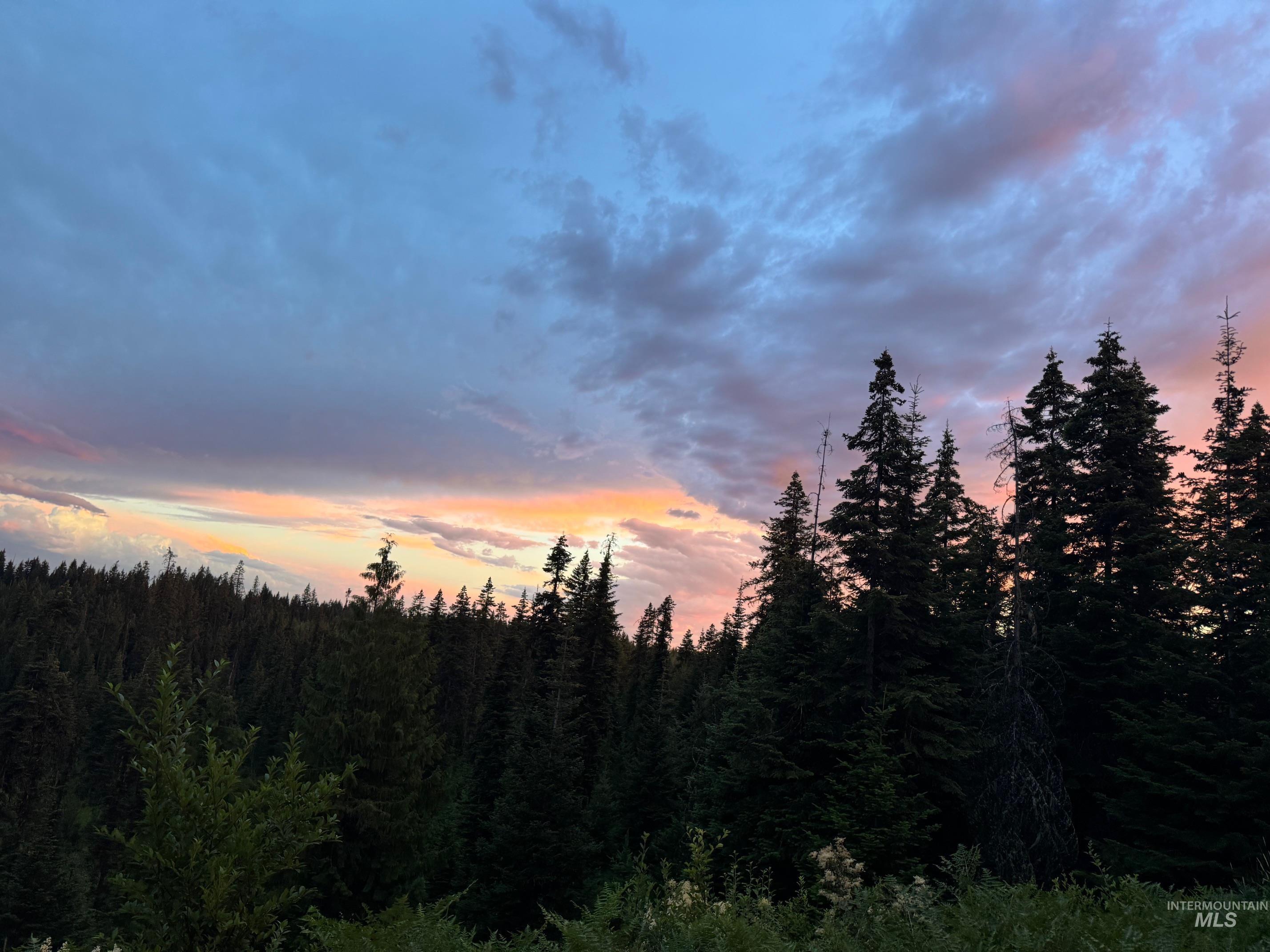 TBD Highway 11, Weippe, Idaho 83553, Land For Sale, Price $625,000, 98969140