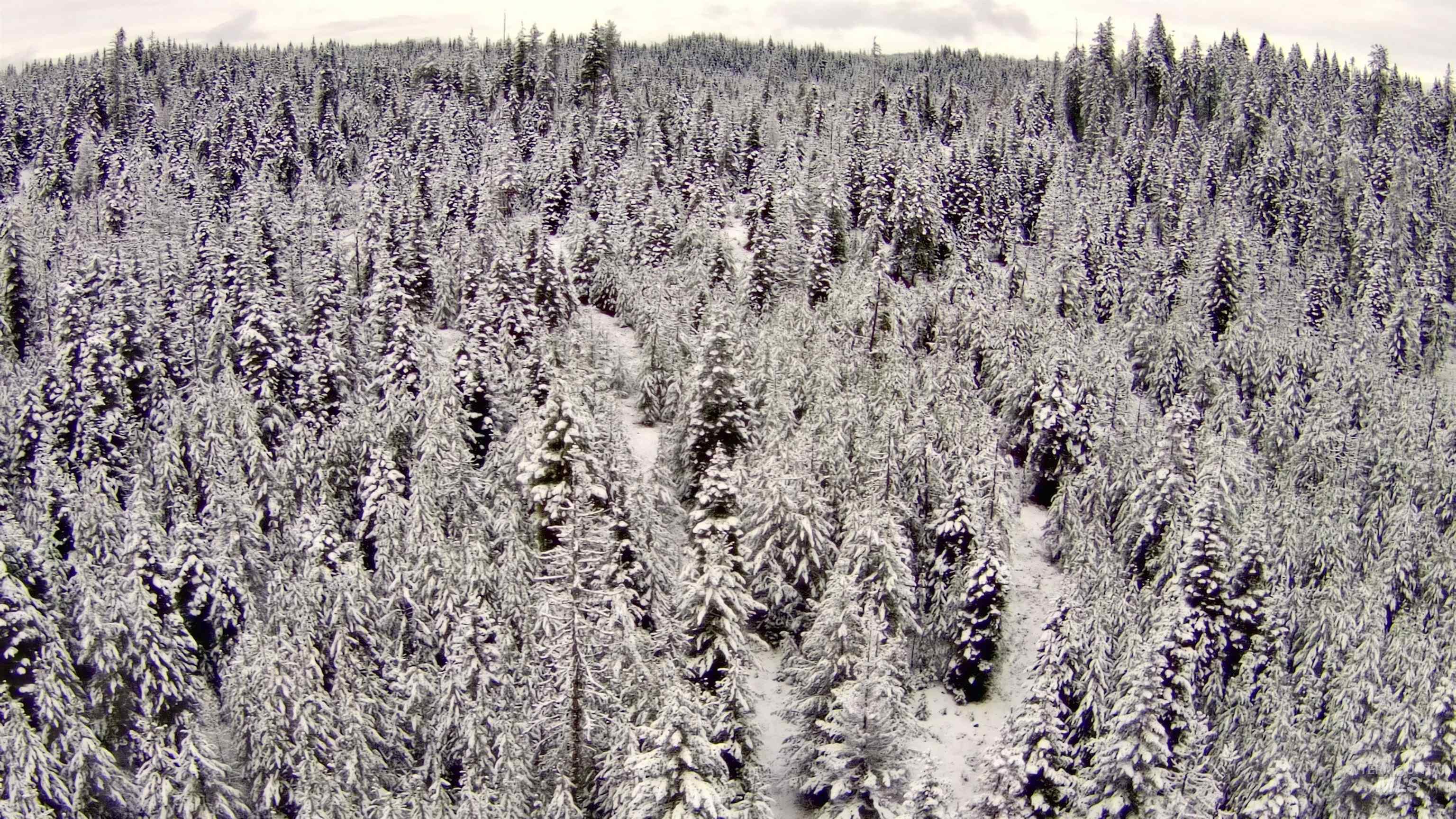 TBD Highway 11, Weippe, Idaho 83553, Land For Sale, Price $649,000,MLS 98969140